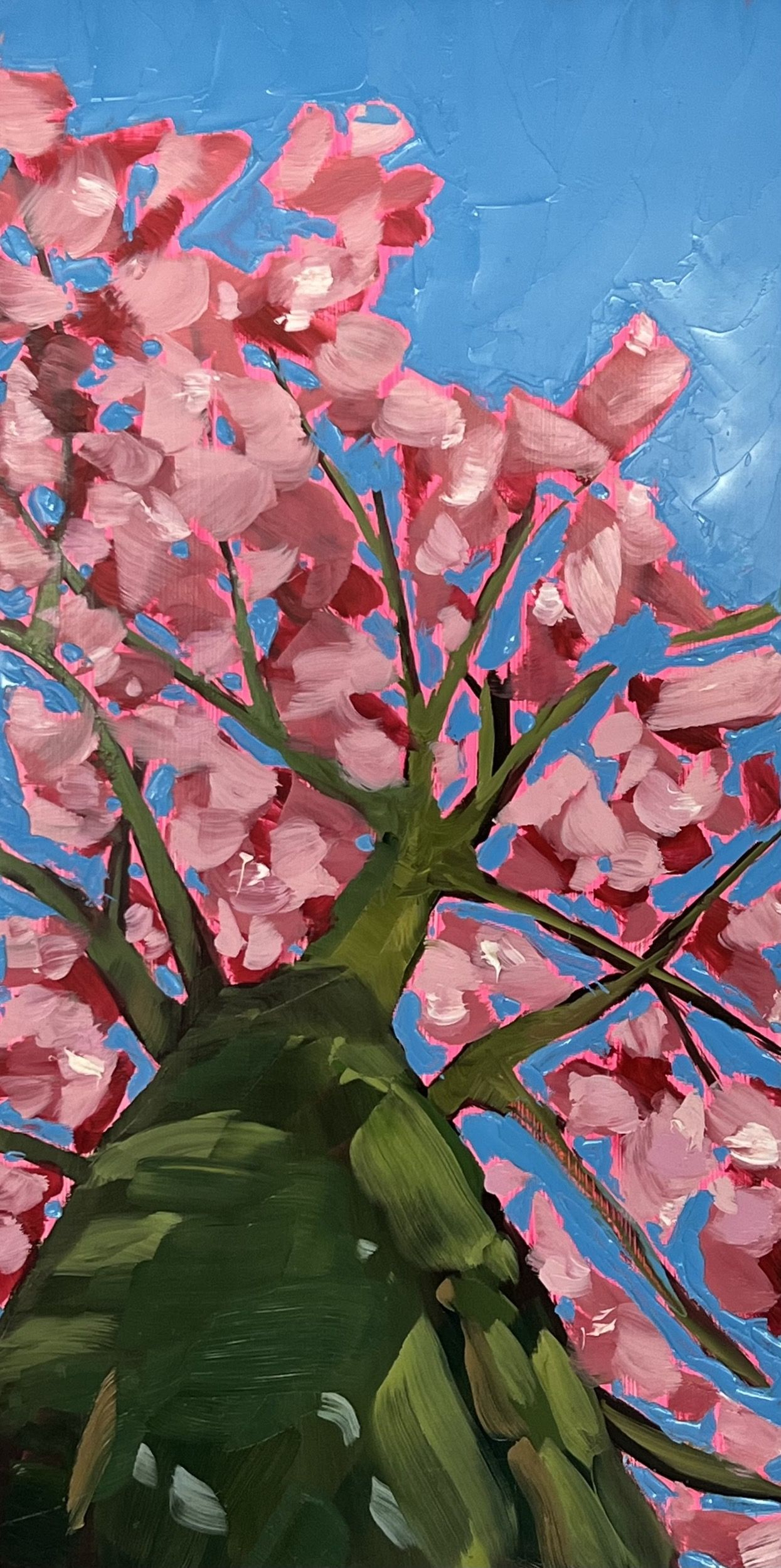 Looking Up Through Pink Blossom to Relax my Troubled Mind by Emily Finch
