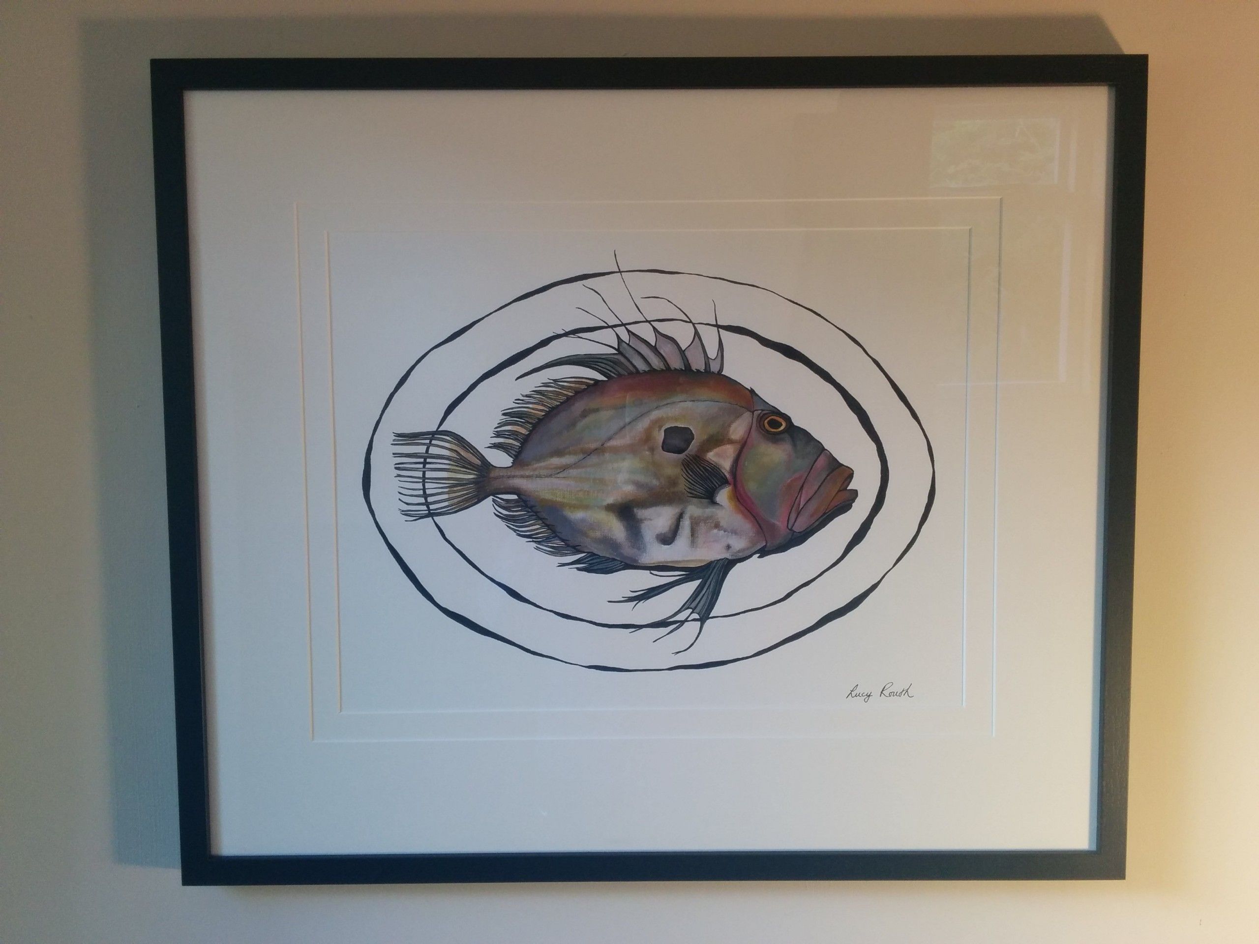 John Dory by Lucy Routh
