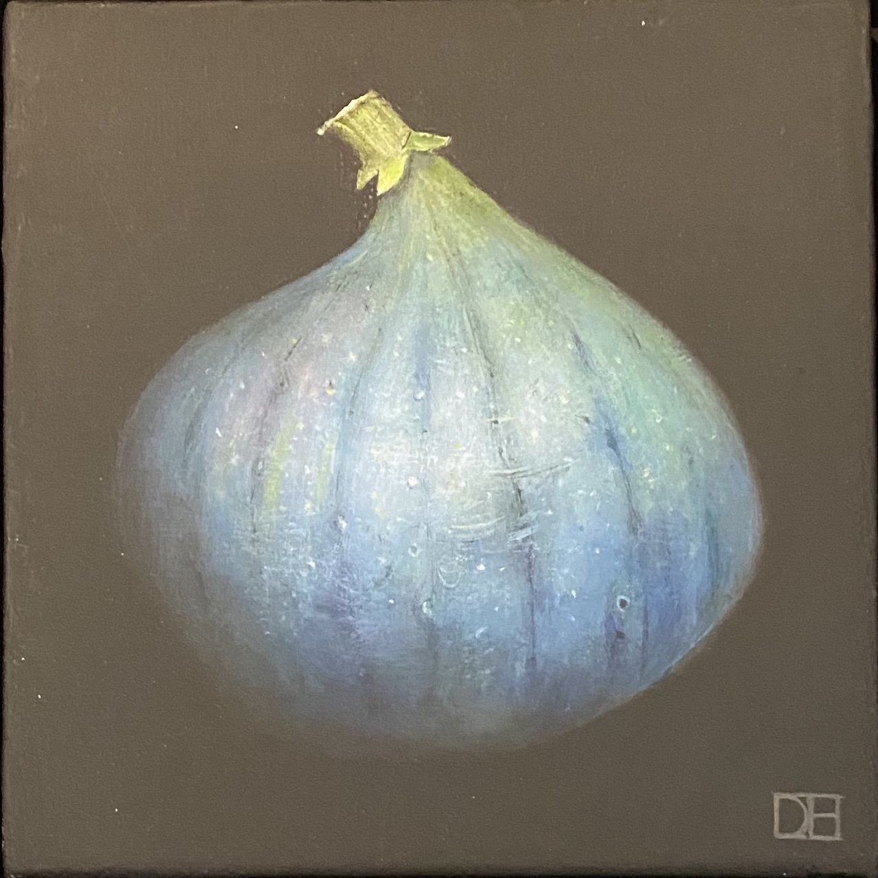 Dark Blue Fig by Dani Humberstone