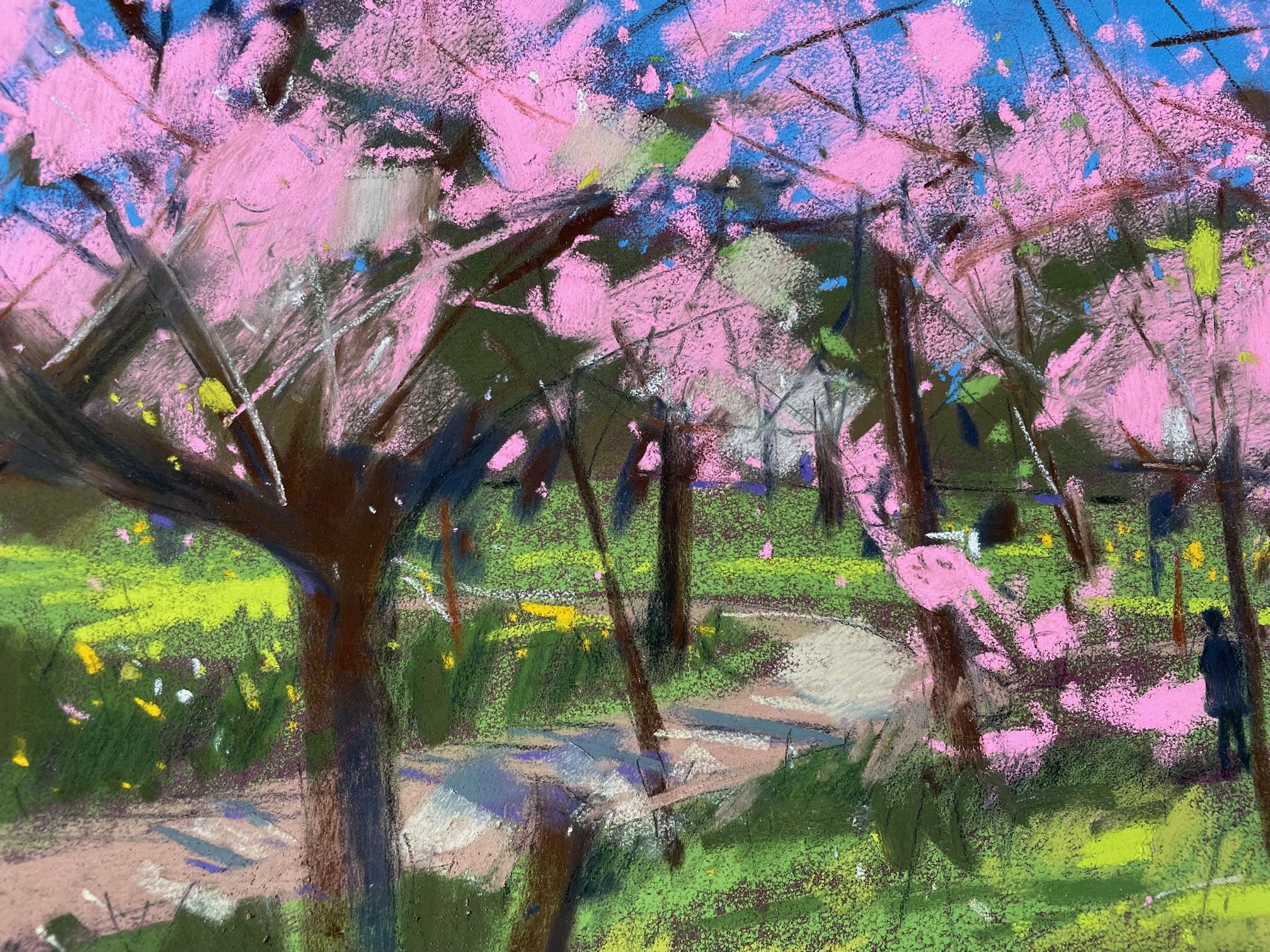 Spring Blossom By Natalie Bird by Natalie Bird