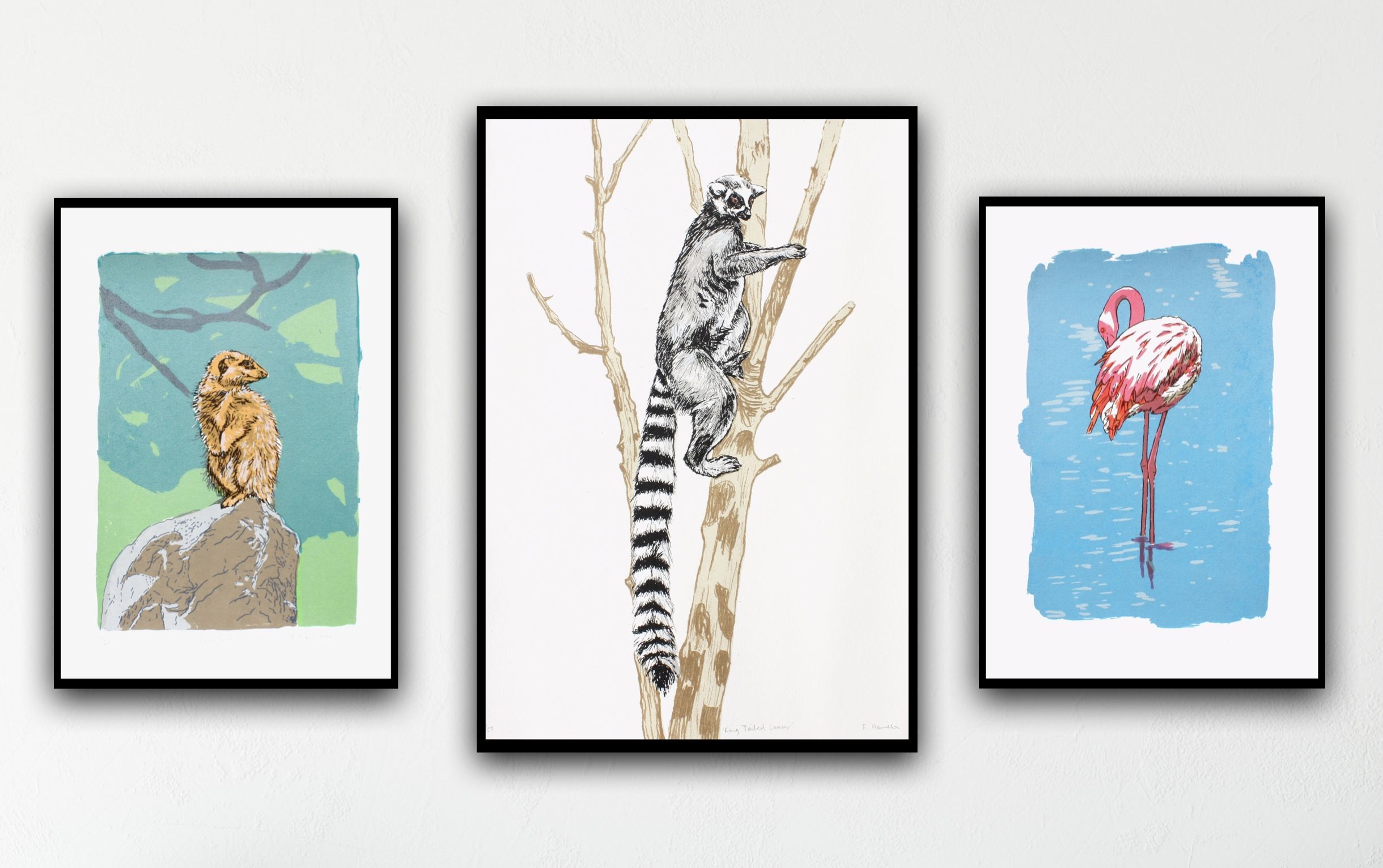 Meerkat, Flamingo and Ring Tailed Lemur by Fiona Hamilton