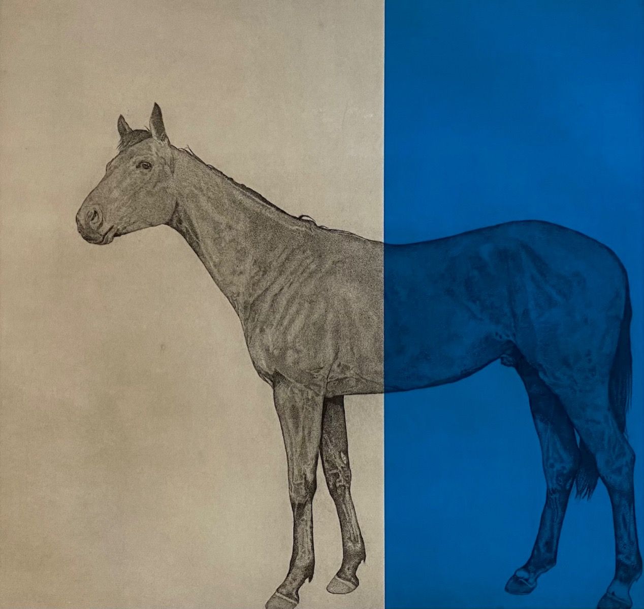 Horse Study Blue by Guy Allen