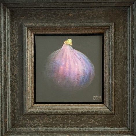 Purple Fig by Dani Humberstone
