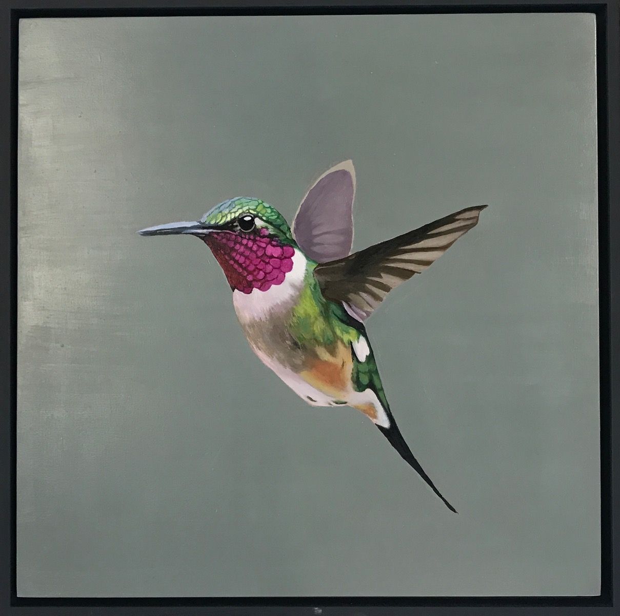 Single hummingbird by Angela Smith