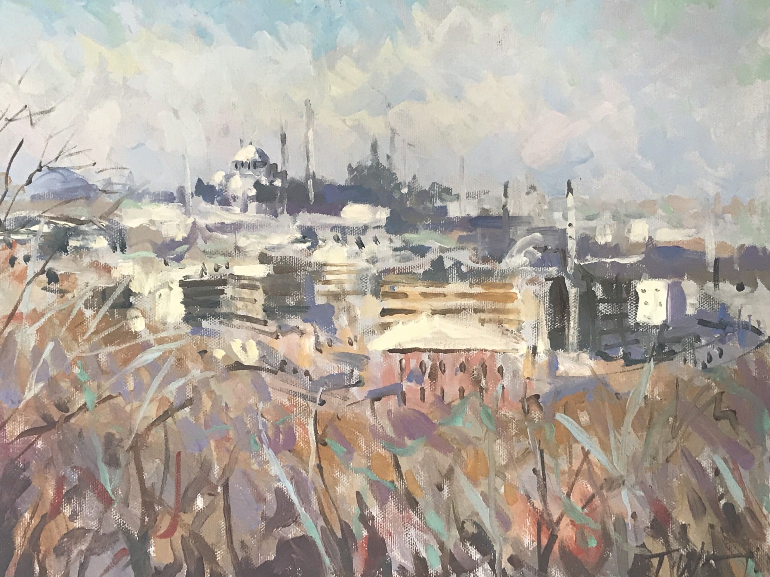 View of Istanbul by Trevor Waugh