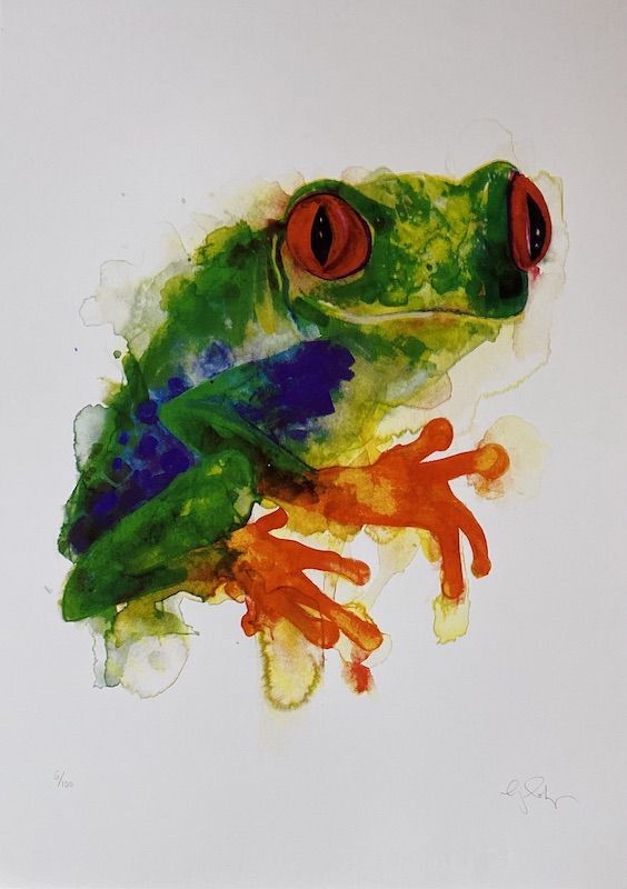 Tree Frog by Gavin Dobson