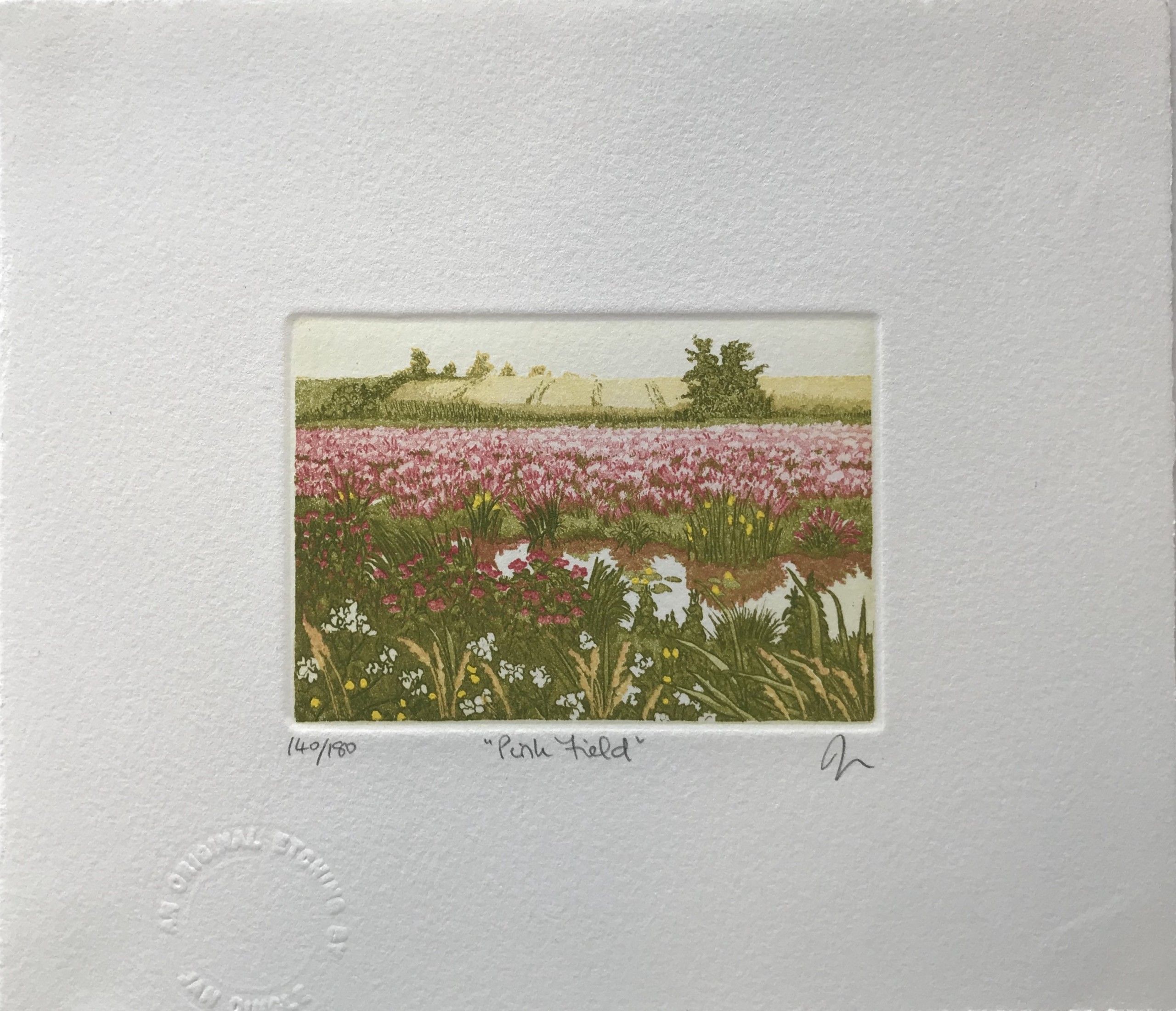 Pink Field by Jan Dingle - Secondary Image