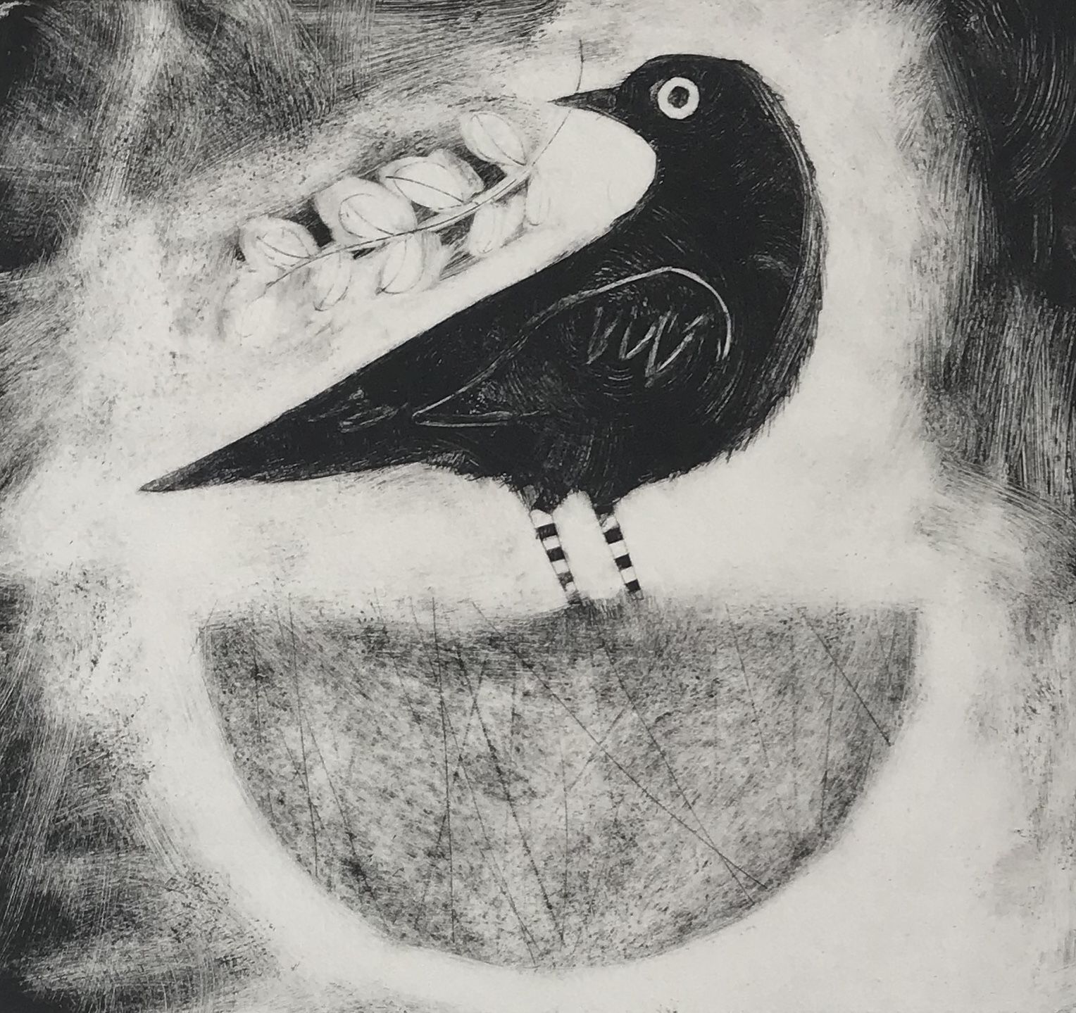 Crow by Jane Ormes