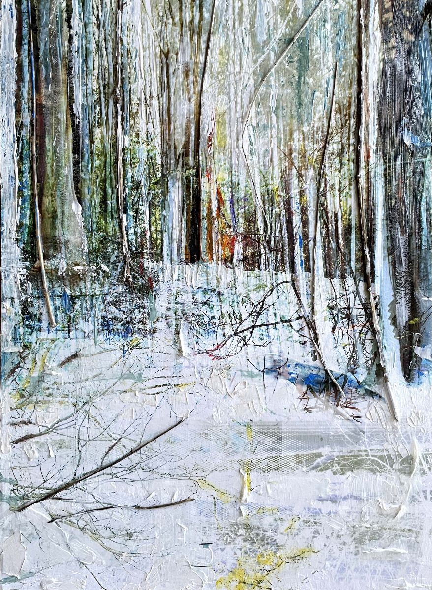 In the Woods by Gill Storr