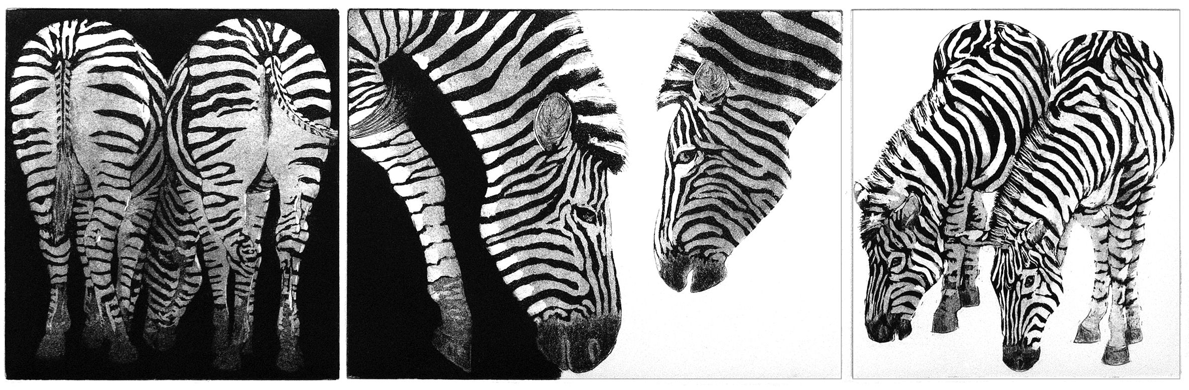 Black and white, white and black by Jane Peart