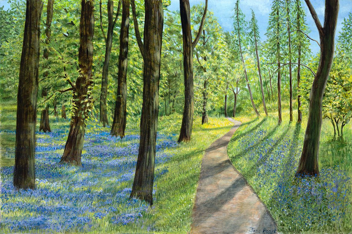Bluebell Woods by Jane Peart