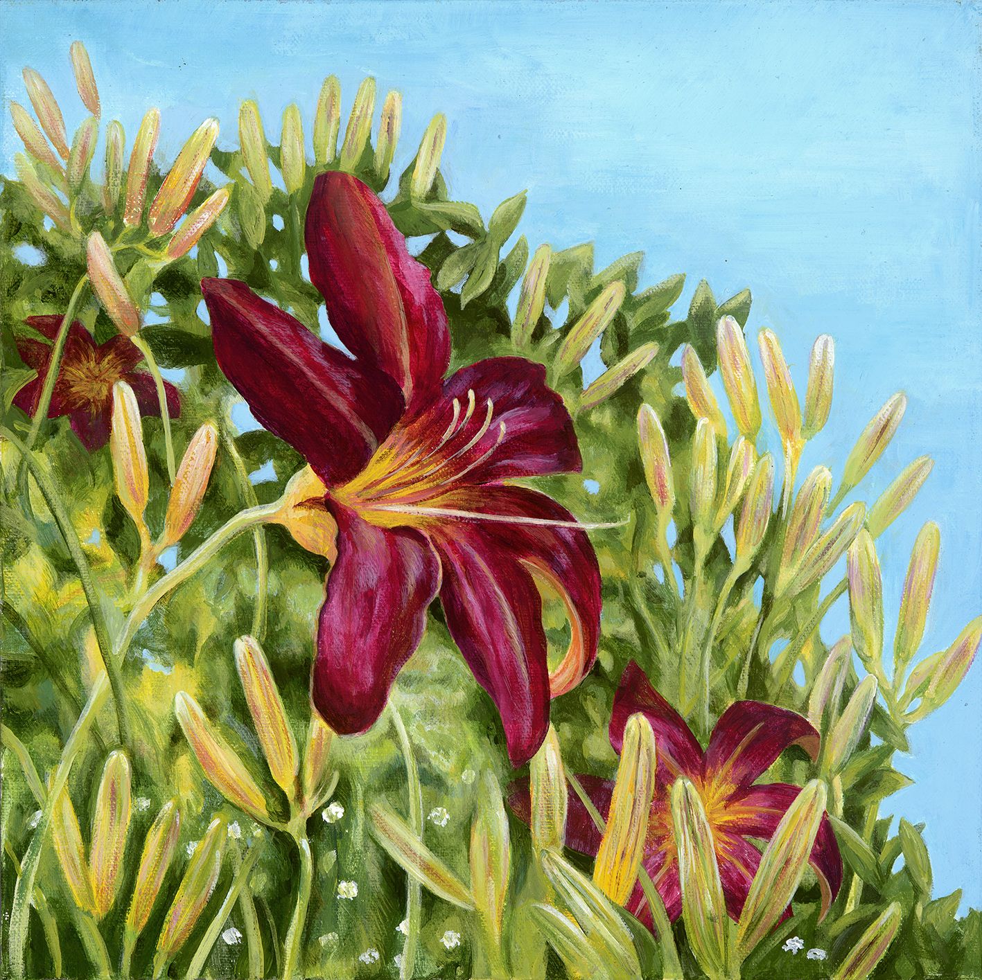 Daylily by Jane Peart
