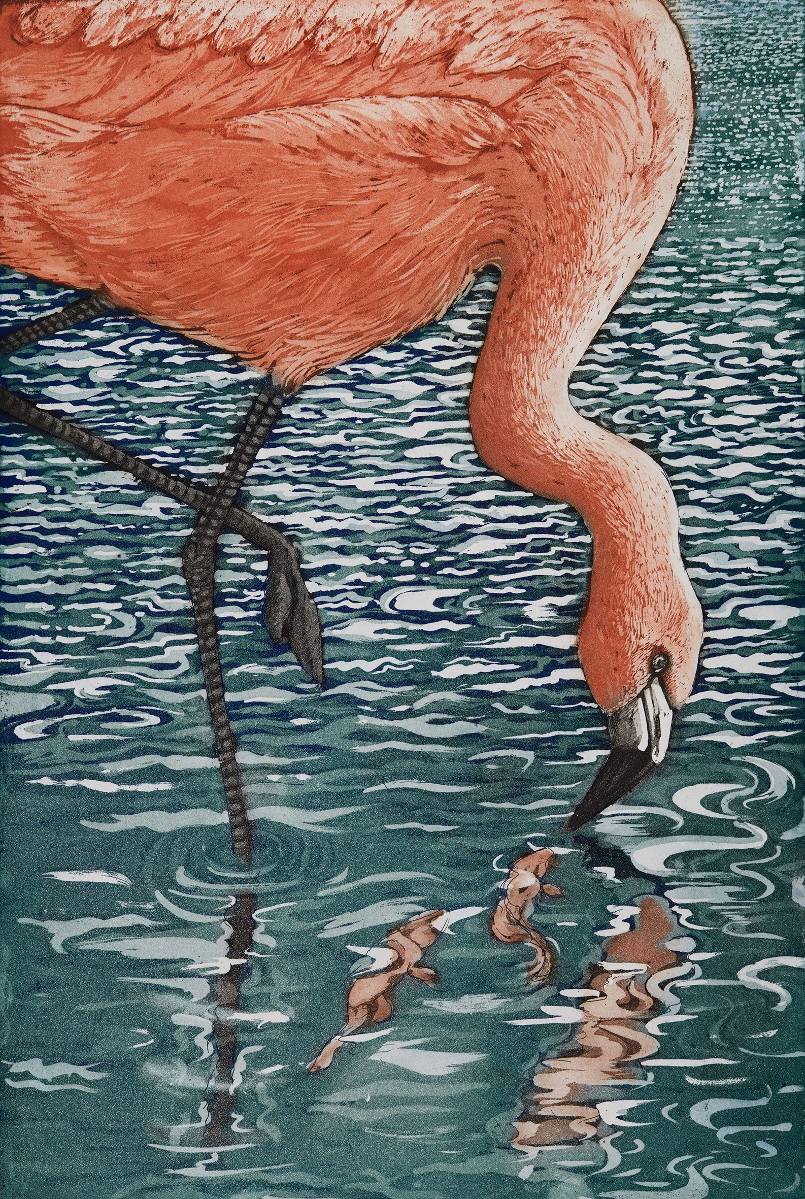Flamenco Flamingo by Jane Peart