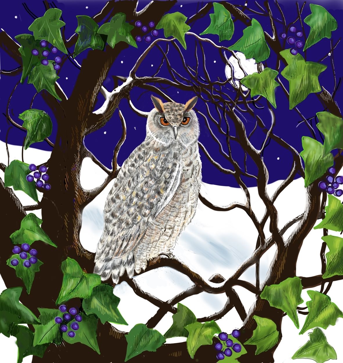 Night Owl by Jane Peart