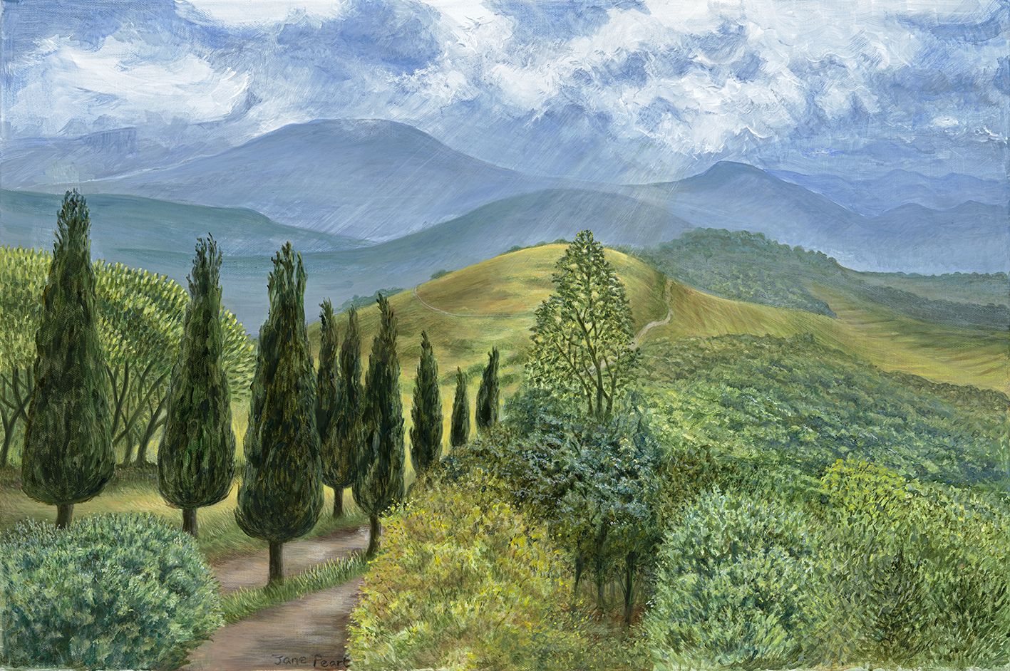 Towards the Pyrenees, France by Jane Peart