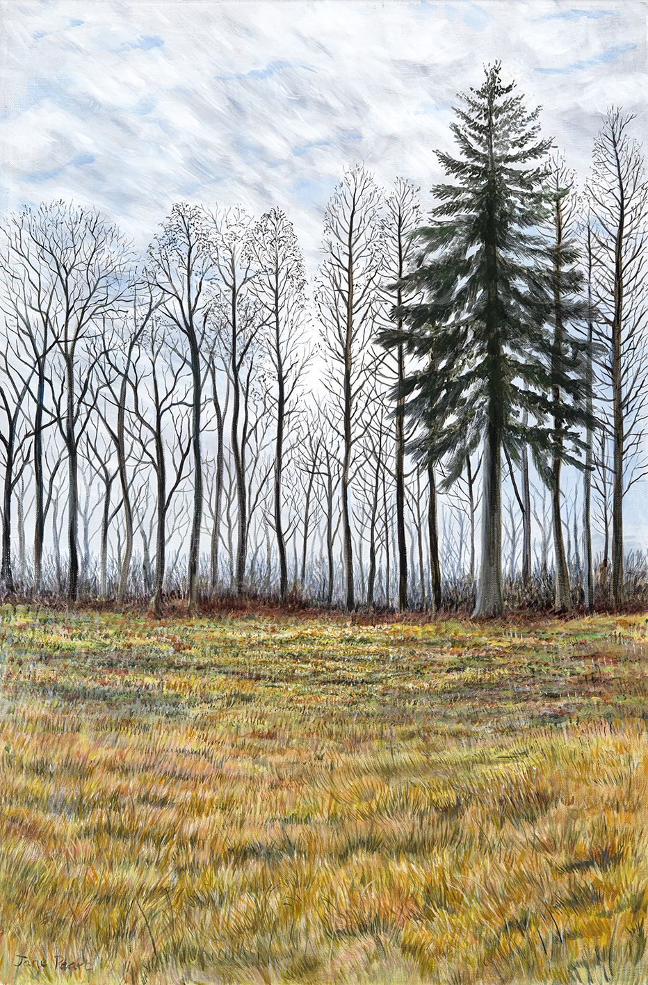 Winter Trees by Jane Peart