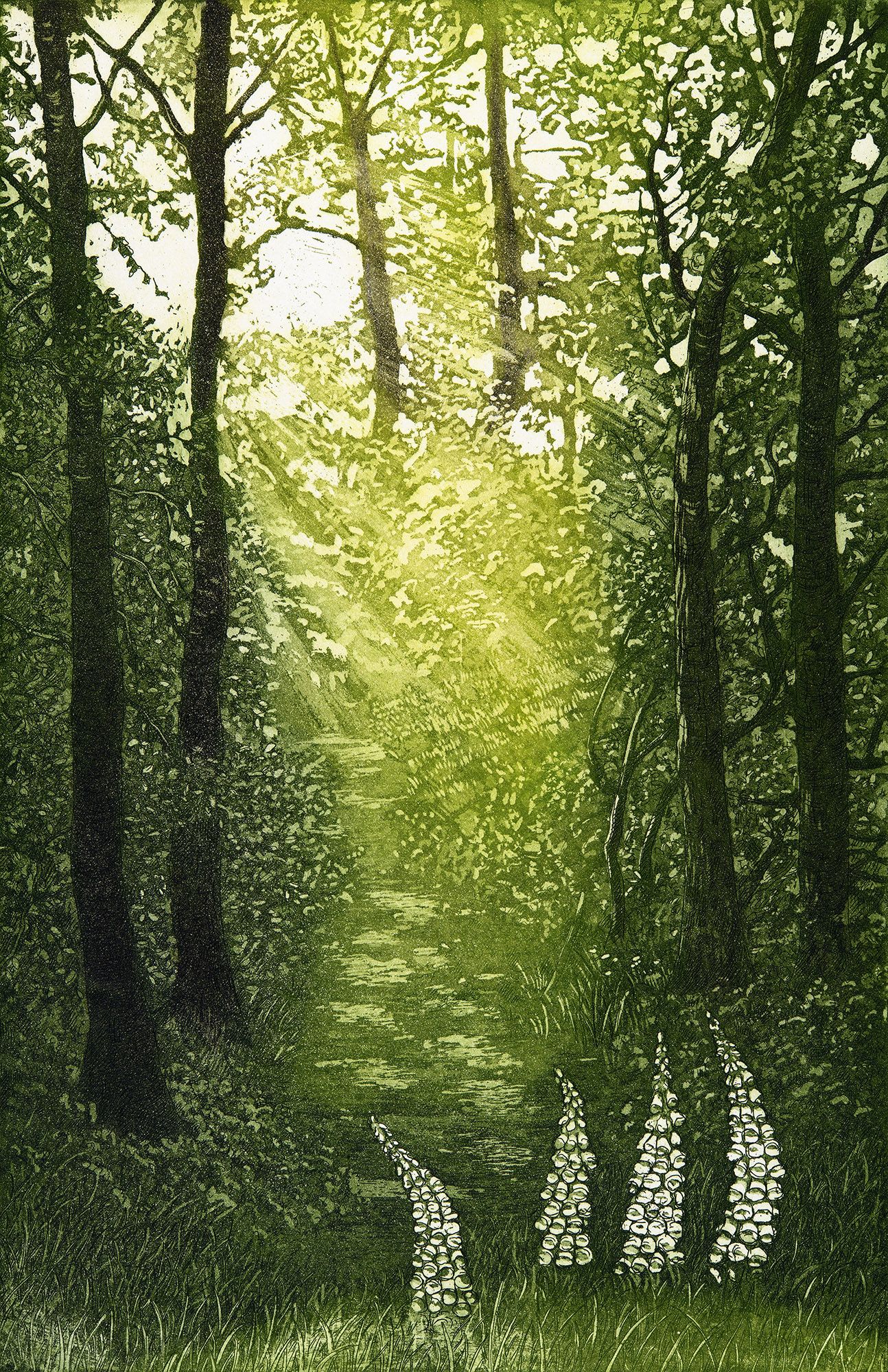 Woodland Glade by Jane Peart