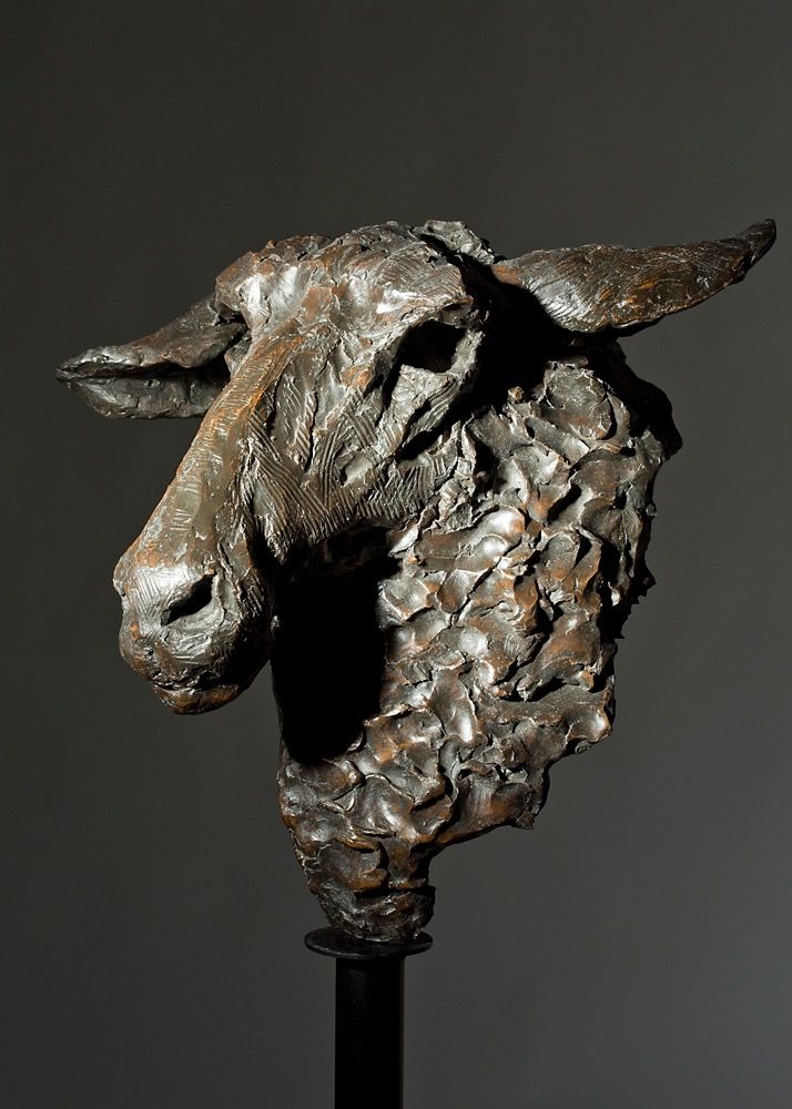 Mrs Darling. Head of a Zwartble Sheep by Jane Shaw