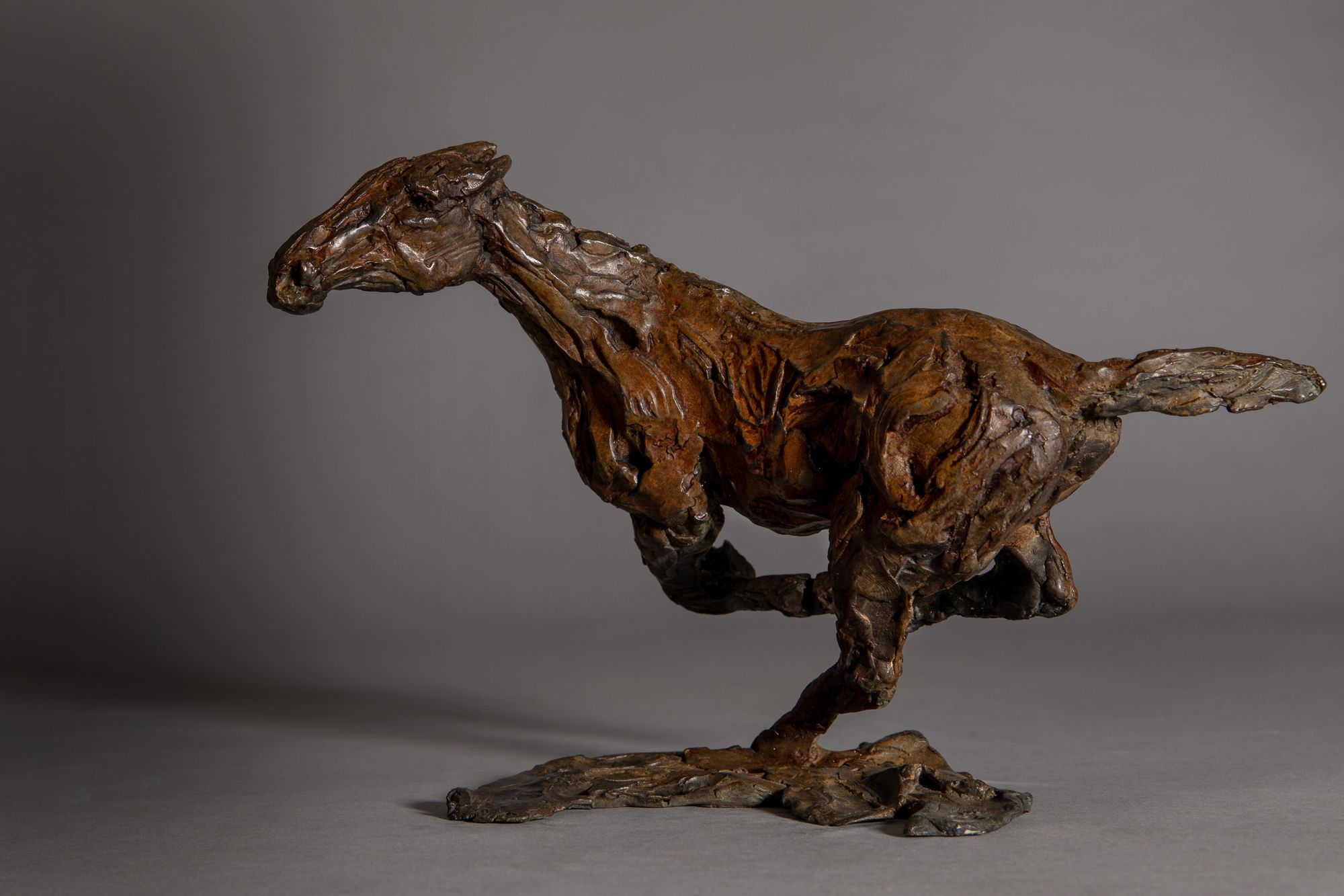 Changing Direction. Galloping Horse. by Jane Shaw