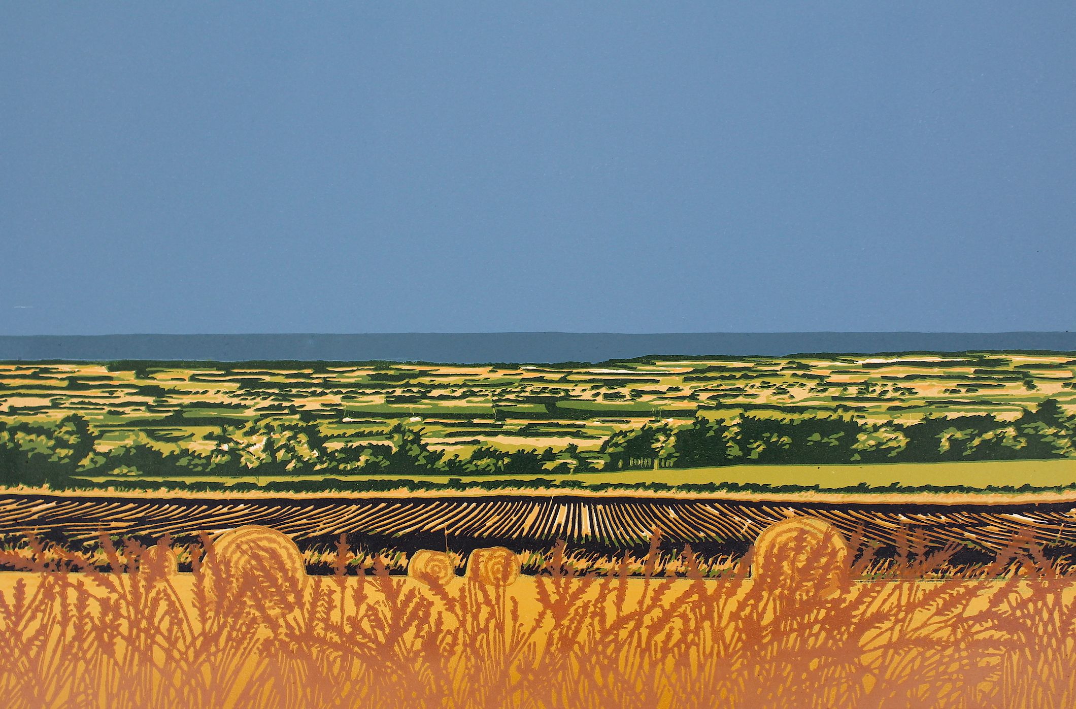 Summer Harvest by Jennifer Jokhoo