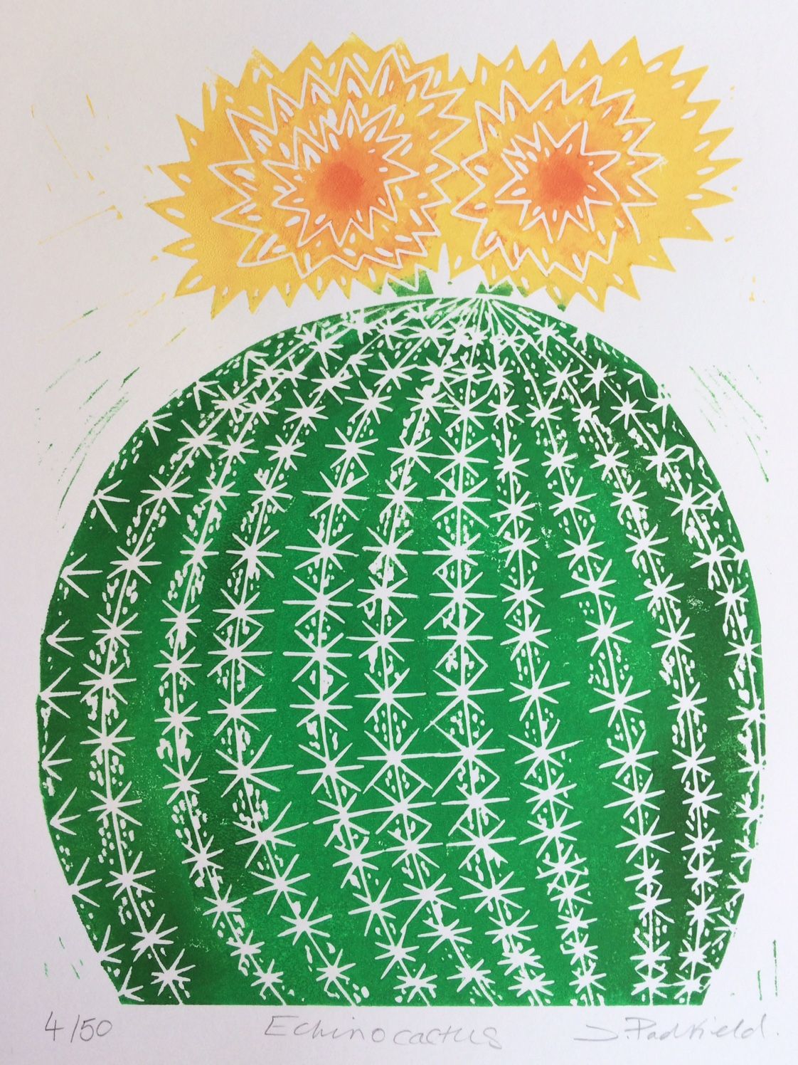 Echino Cactus by Joanna Padfield