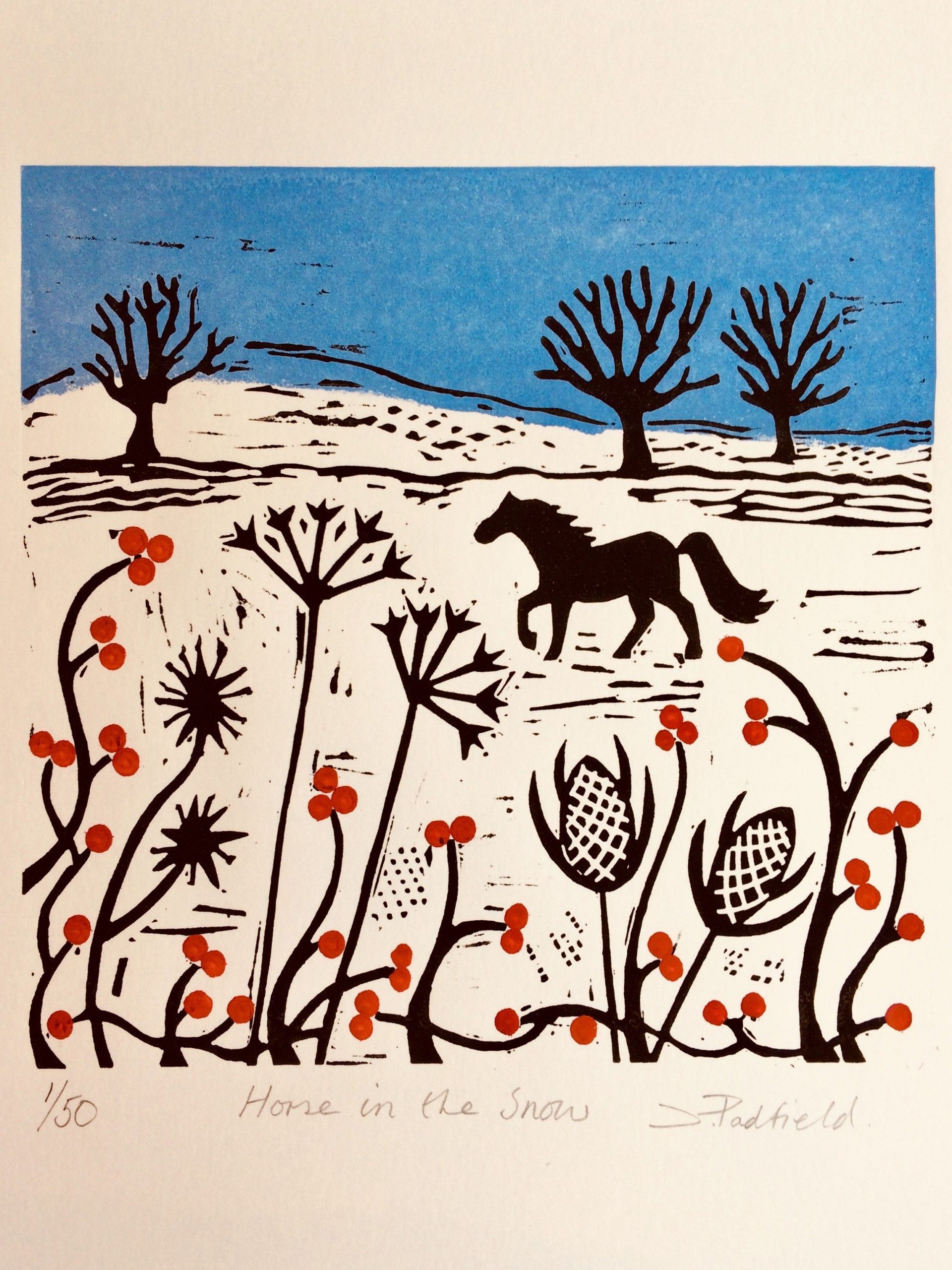 Horse in the snow by Joanna Padfield