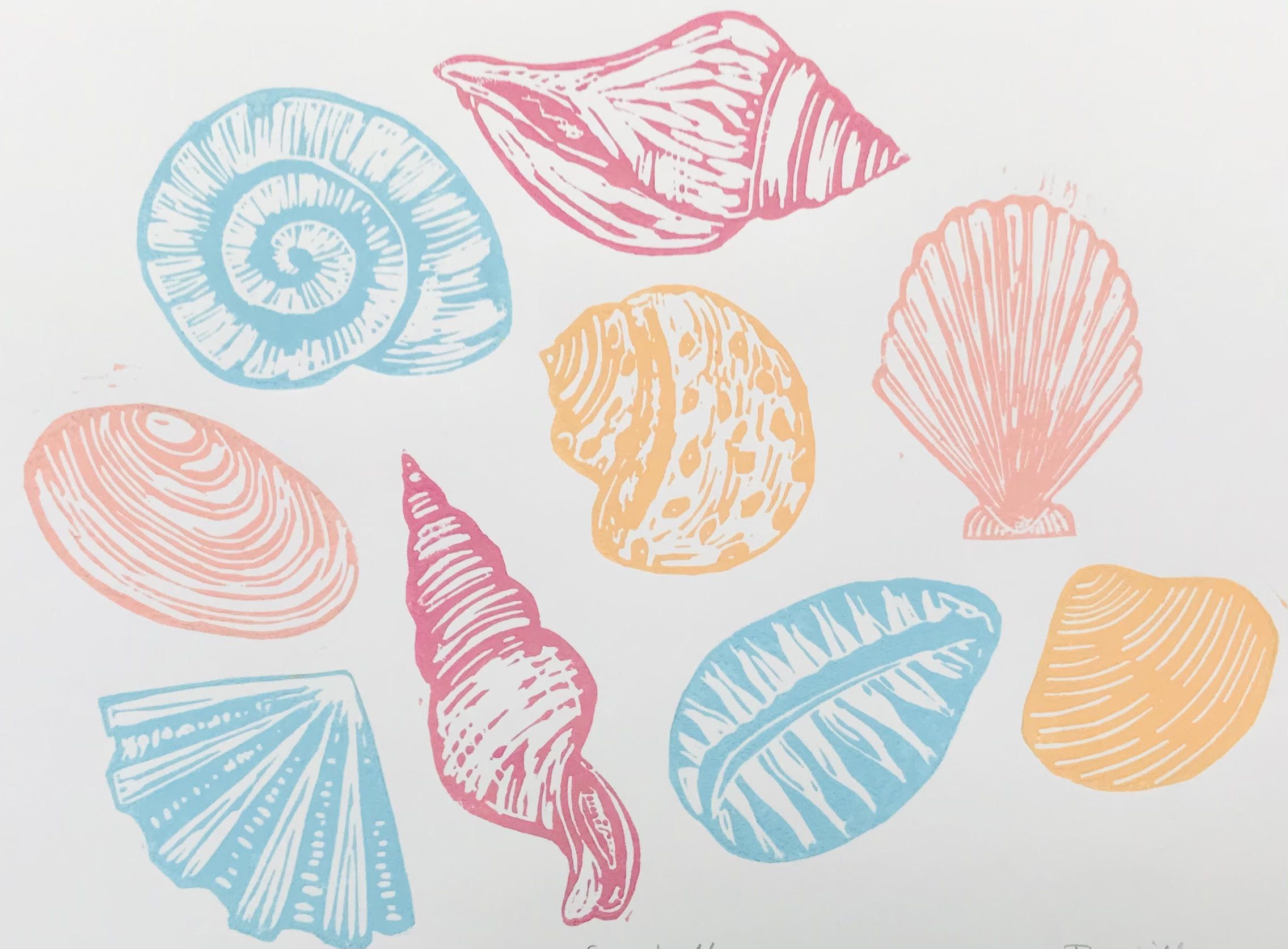 Seashells by Joanna Padfield