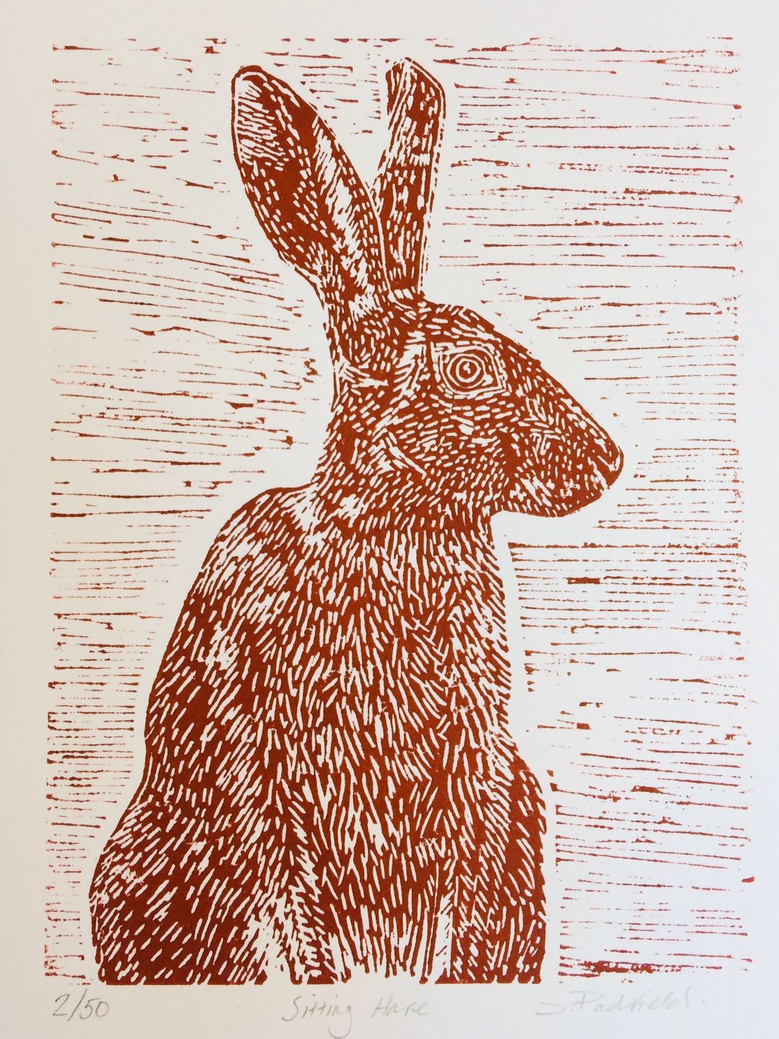 Sitting Hare by Joanna Padfield