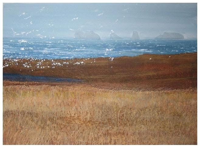 Shetland - Uyea birds by Judith Yarrow