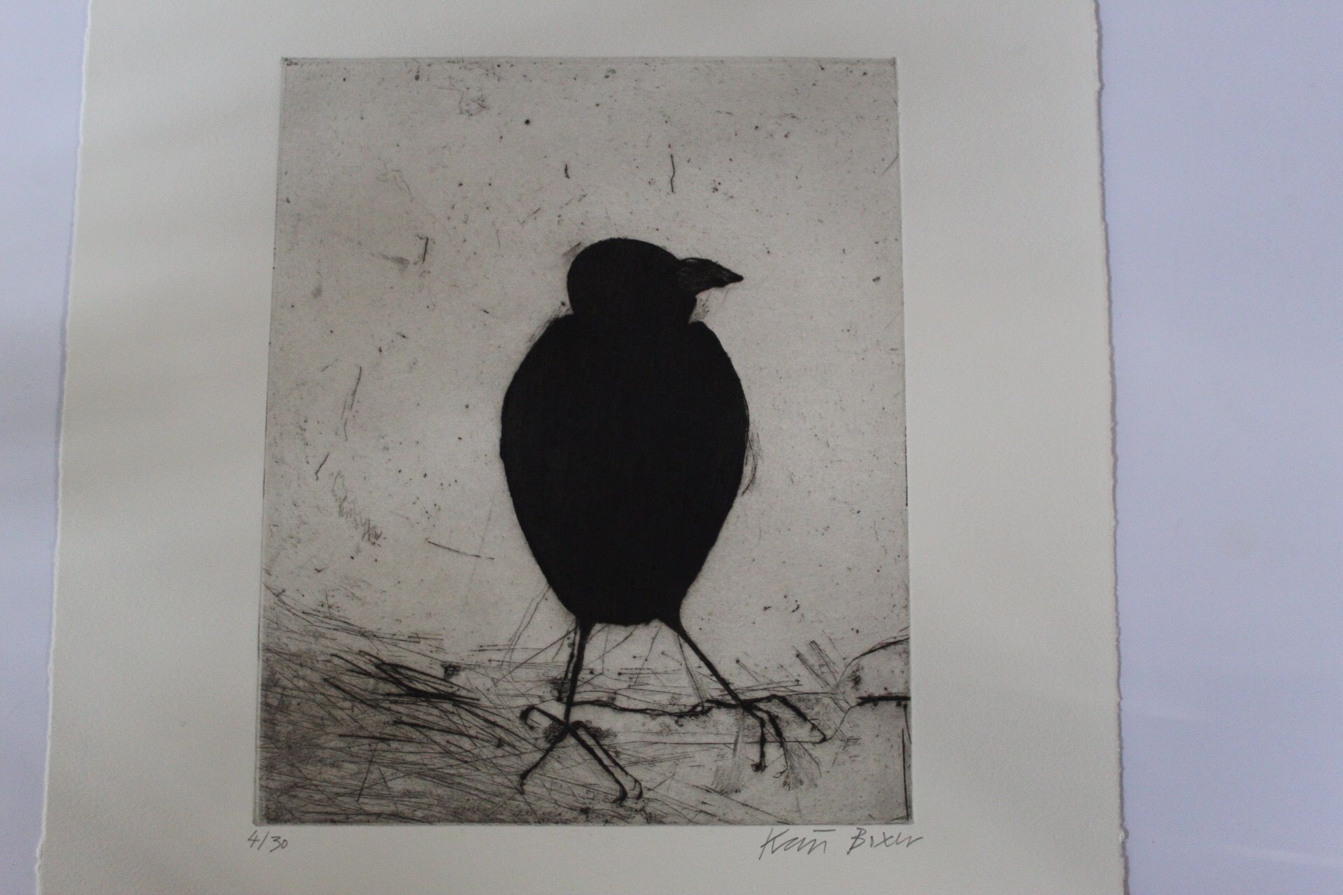Jackdaw by Kate Boxer - Secondary Image