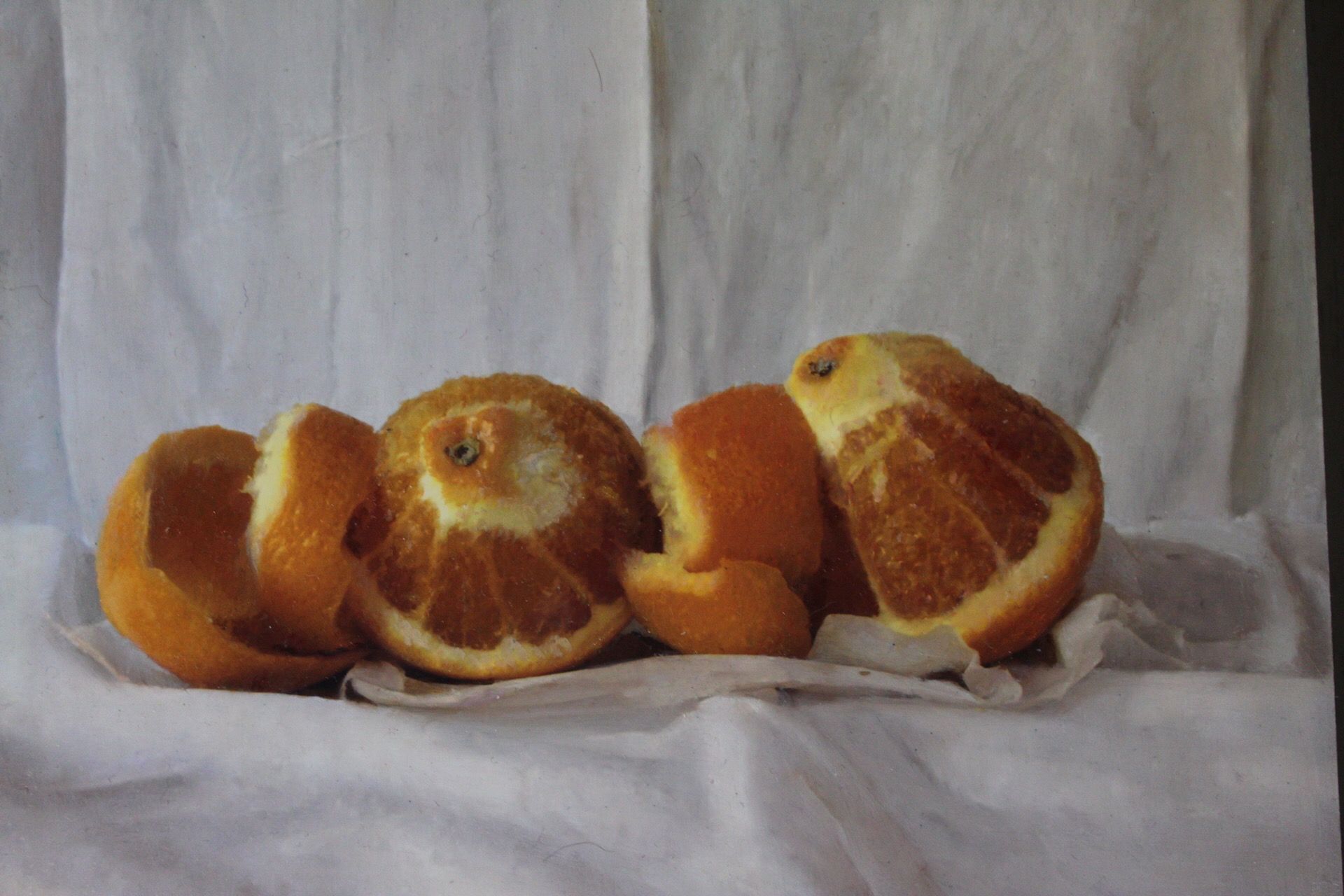 Two Seville Oranges by Kate Verrion