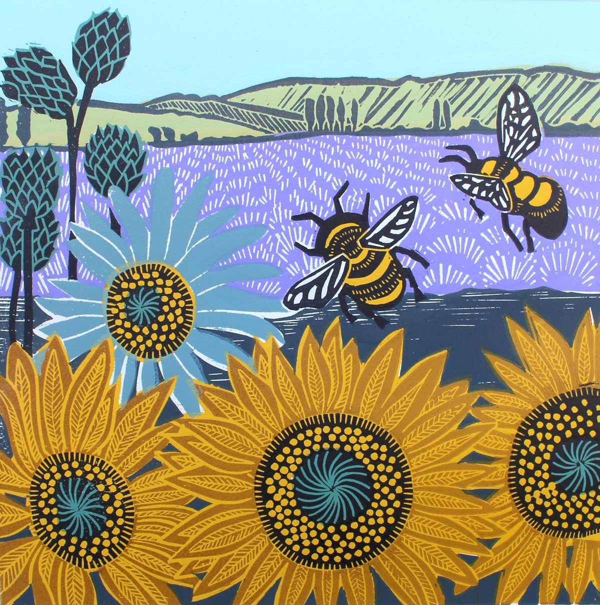 Sunflower Fields by Kate Heiss