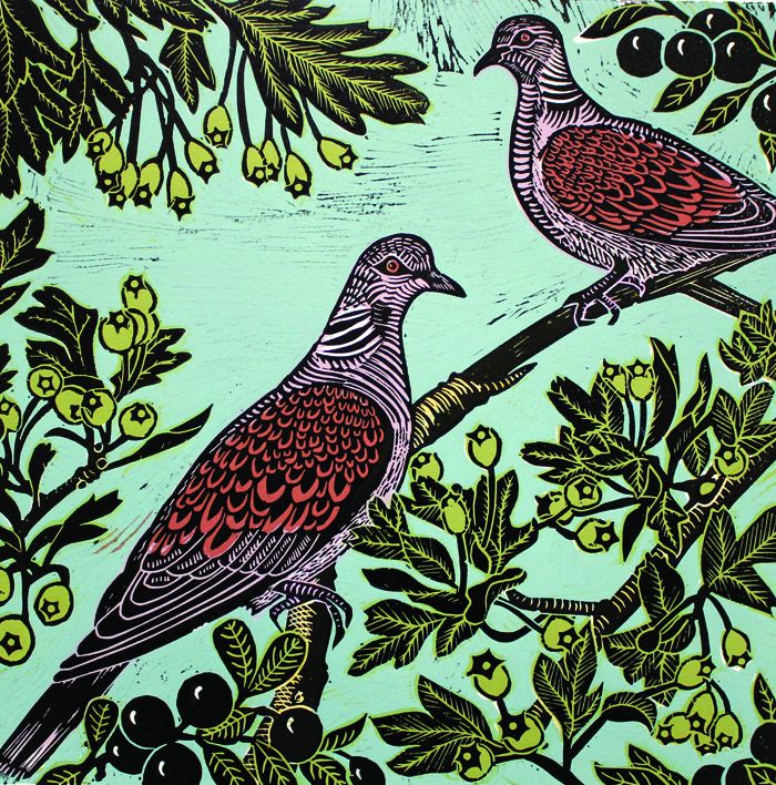 TwoTurtle Doves by Kate Heiss