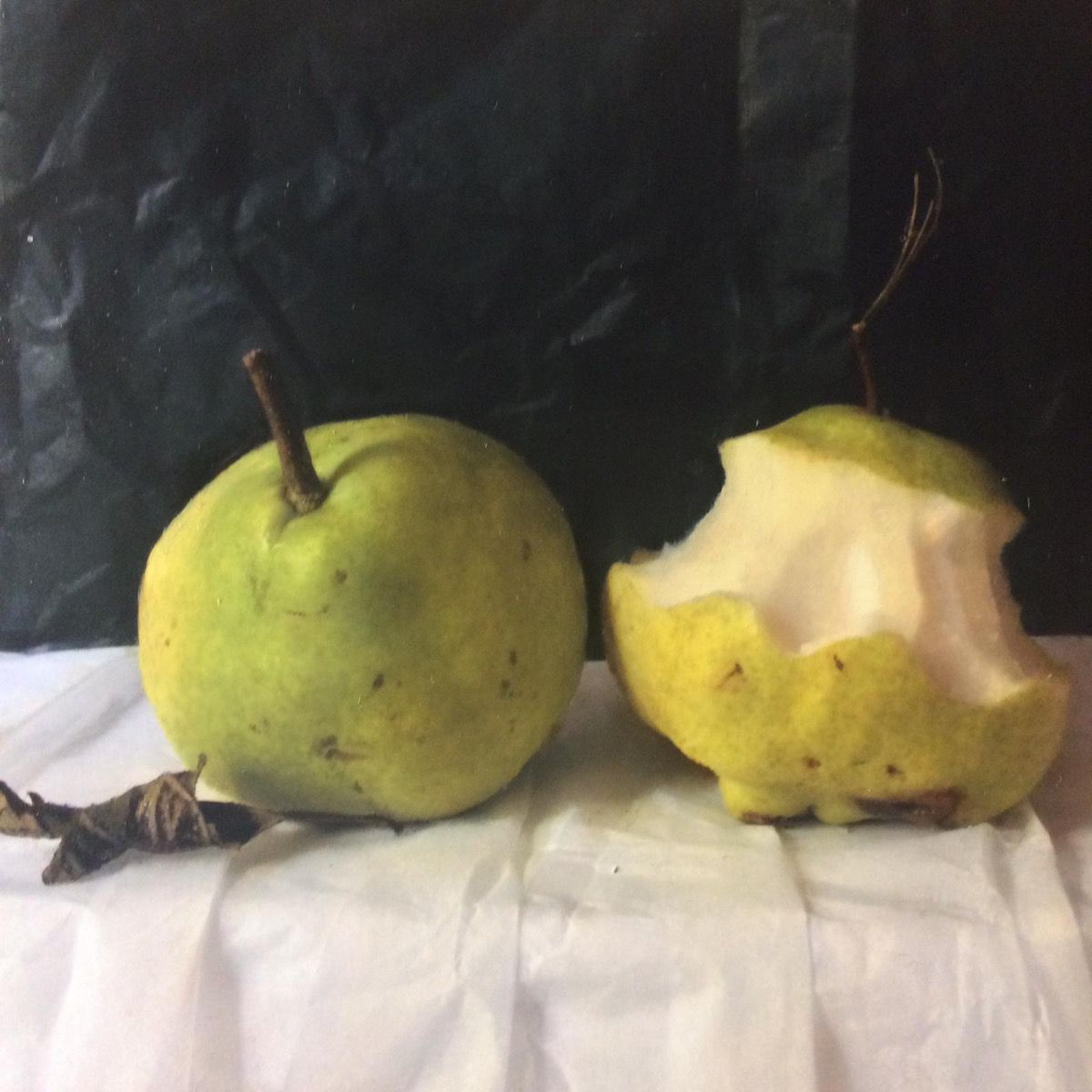 Chinese Pears by Kate Verrion