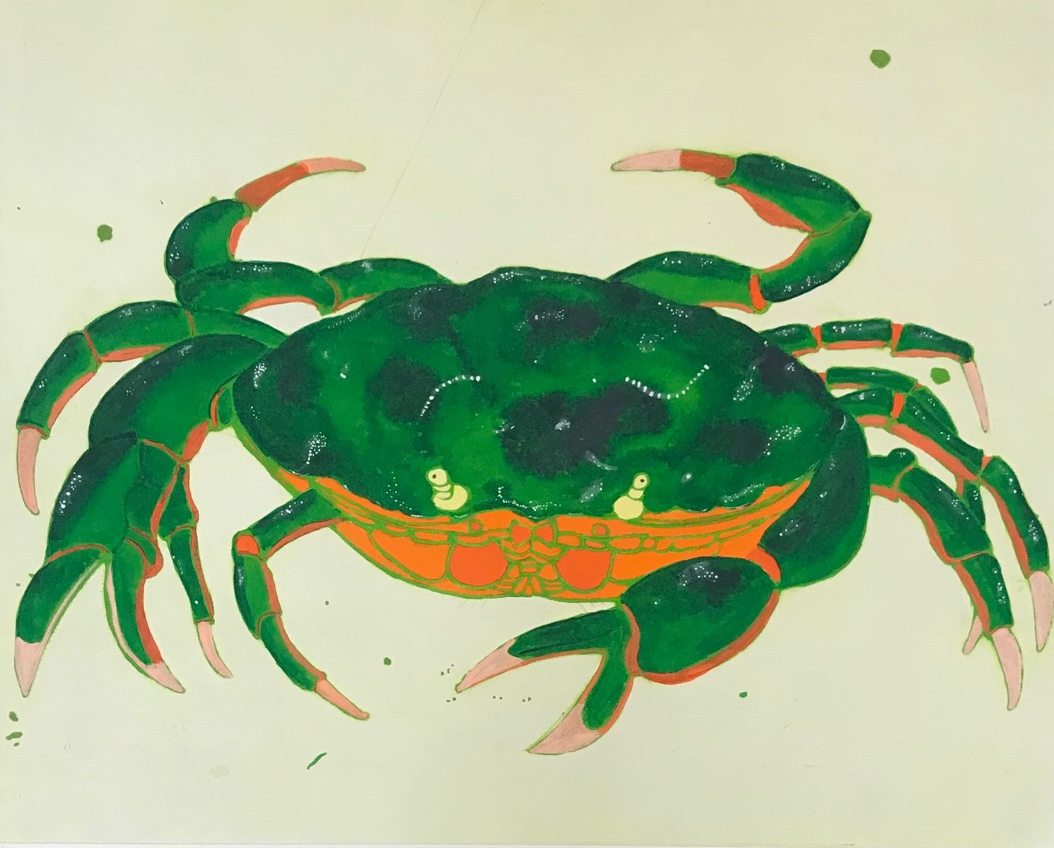 Crab by Kate Boxer
