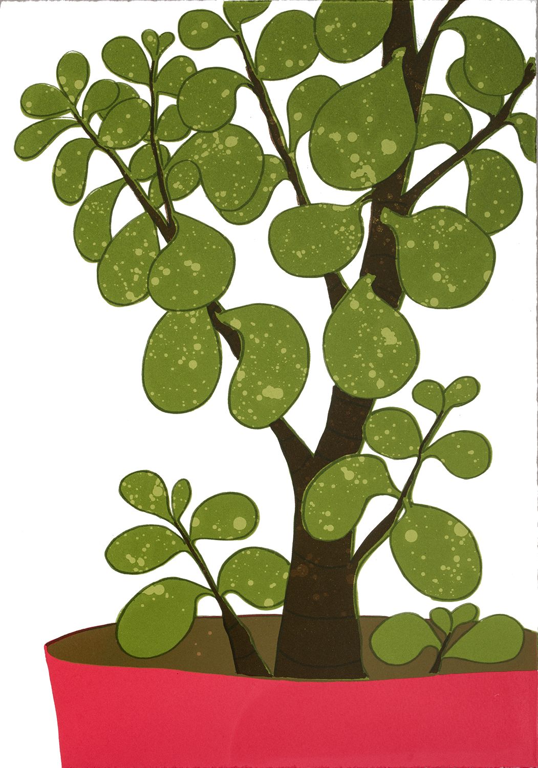 Money Tree by Kerry Day
