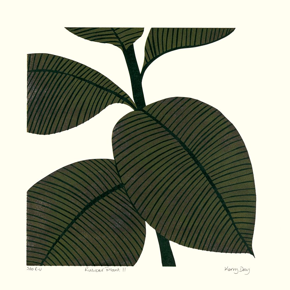 Rubber Plant II by Kerry Day