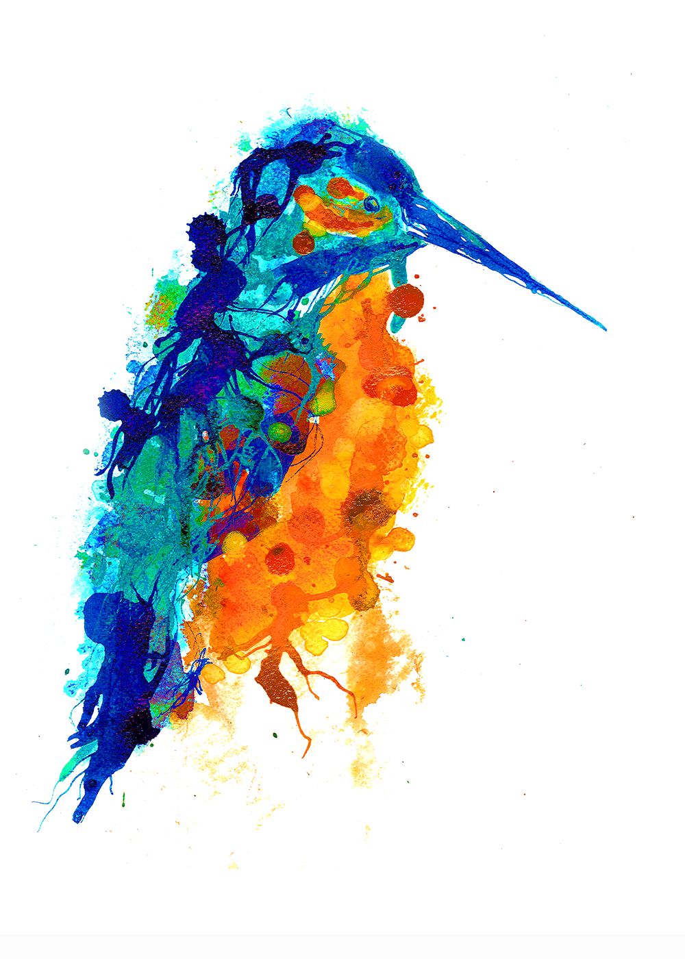 Kingfisher by Gavin Dobson