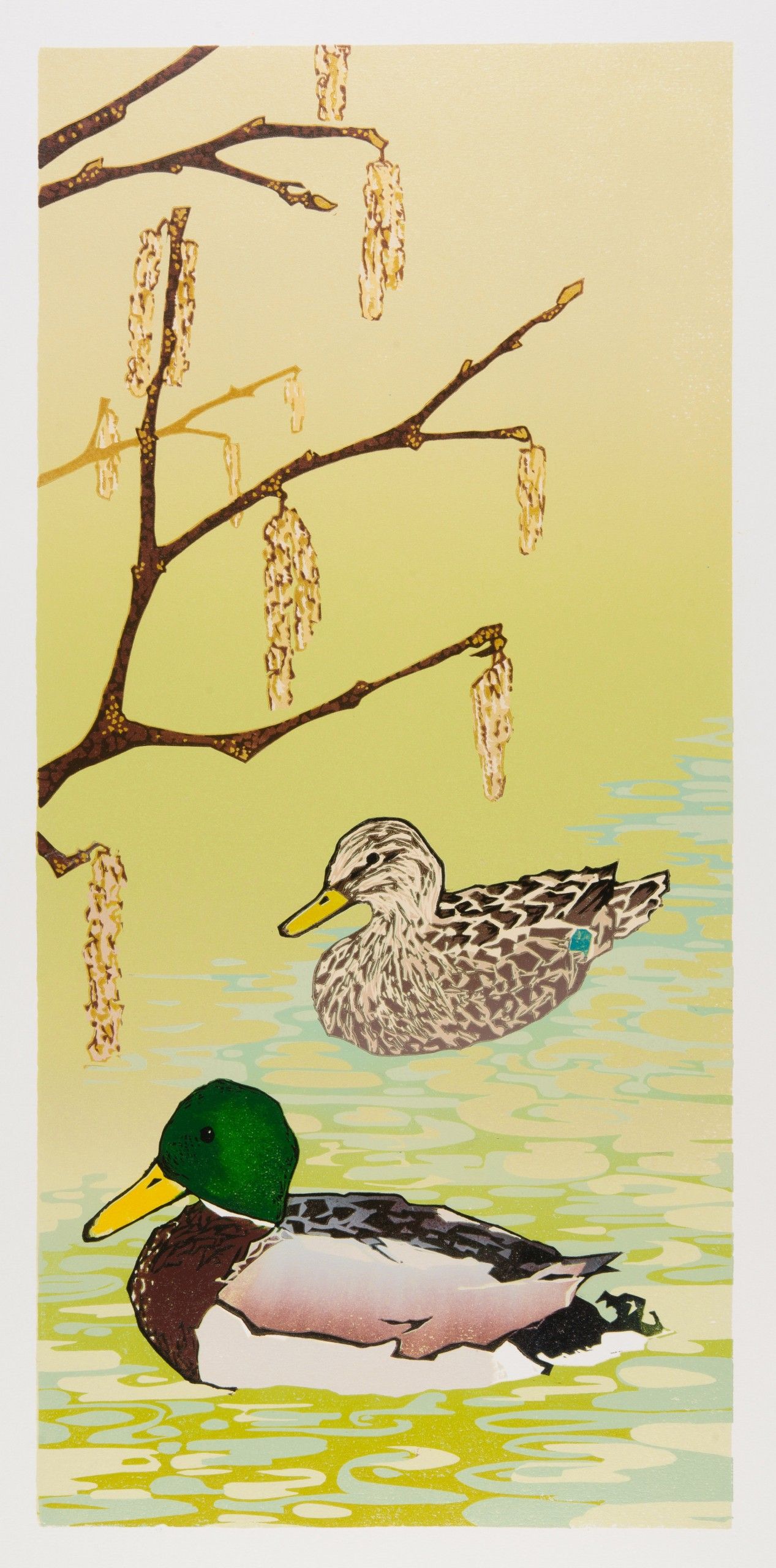 Mallard Ducks with Hazel Catkins by Laura Boswell