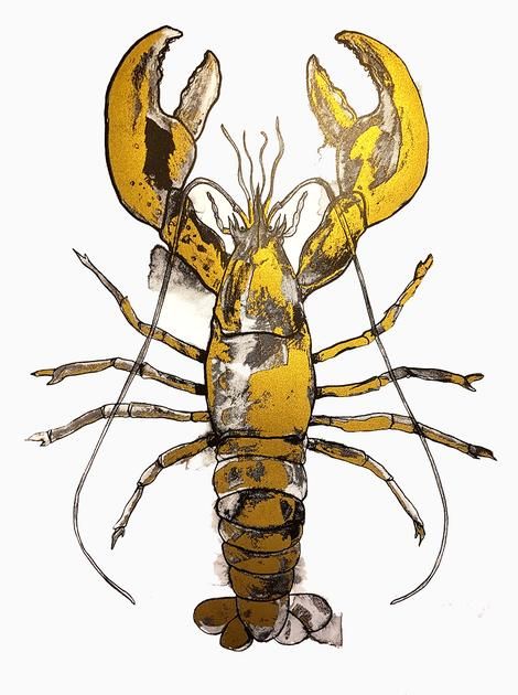 Lobster Gold by Gavin Dobson