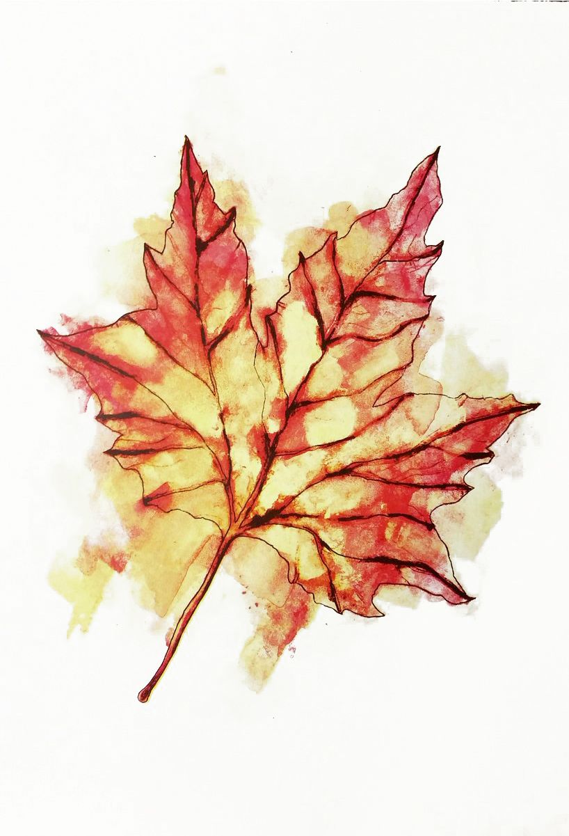 Autumn Leaf by Gavin Dobson