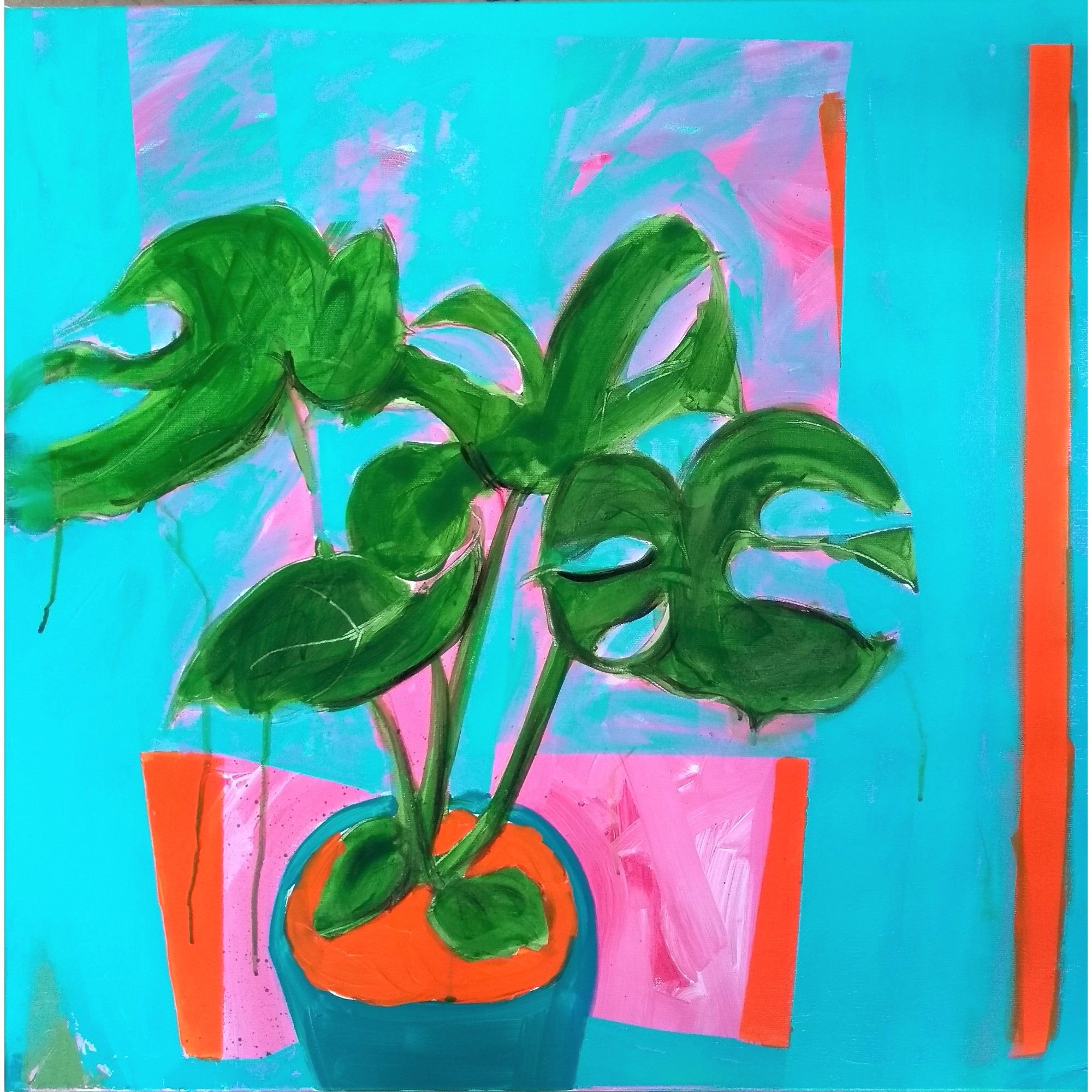 Cheese Plant by Liese Webley