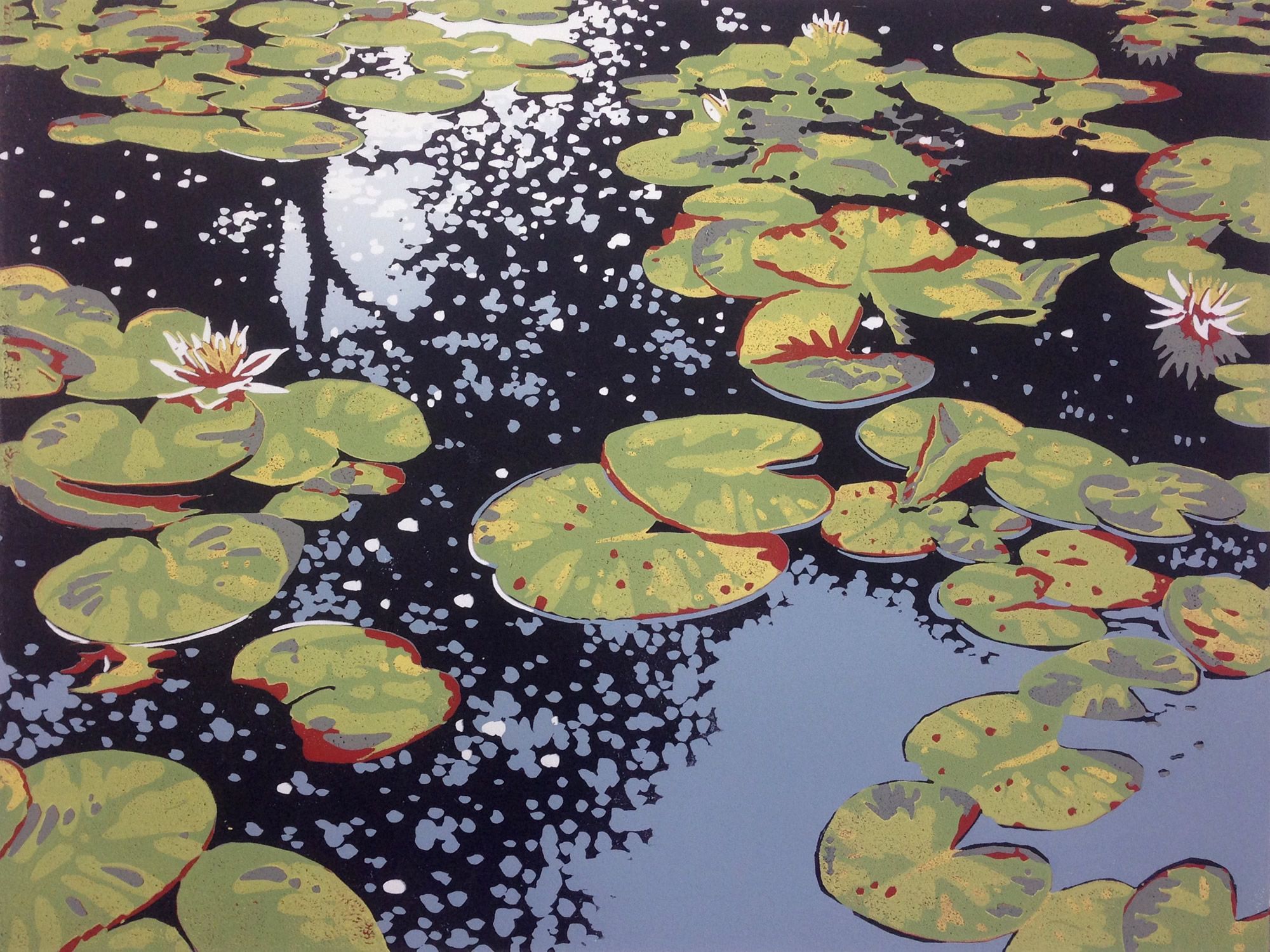 Lily Pond Reflections by Alexandra Buckle
