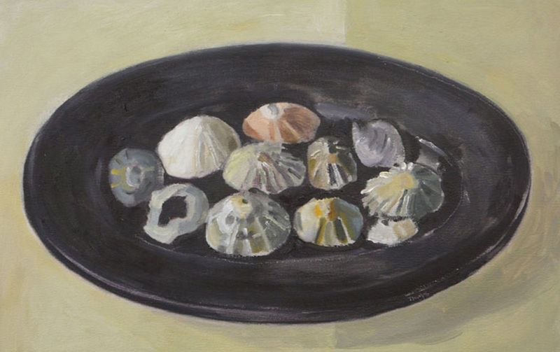 Limpets on Black Plate by David Thomas