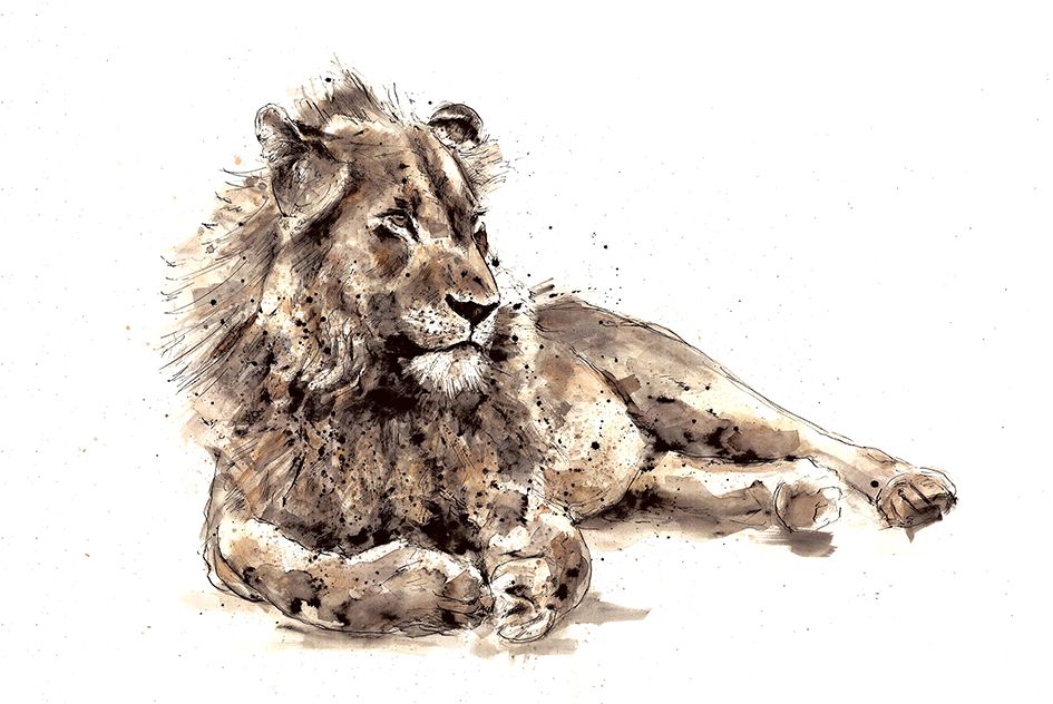 Kruger Lion by Zaza Shelley