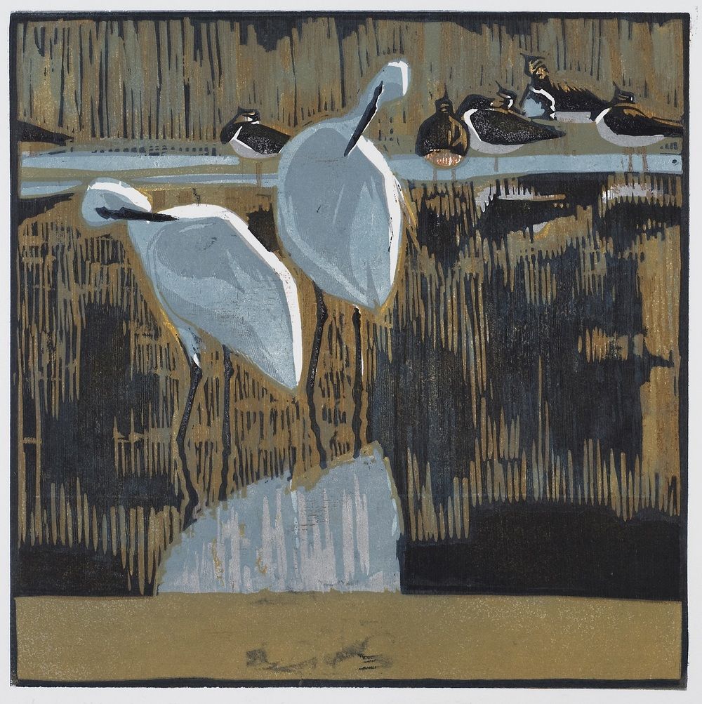 Little Egrets by Robert Greenhalf