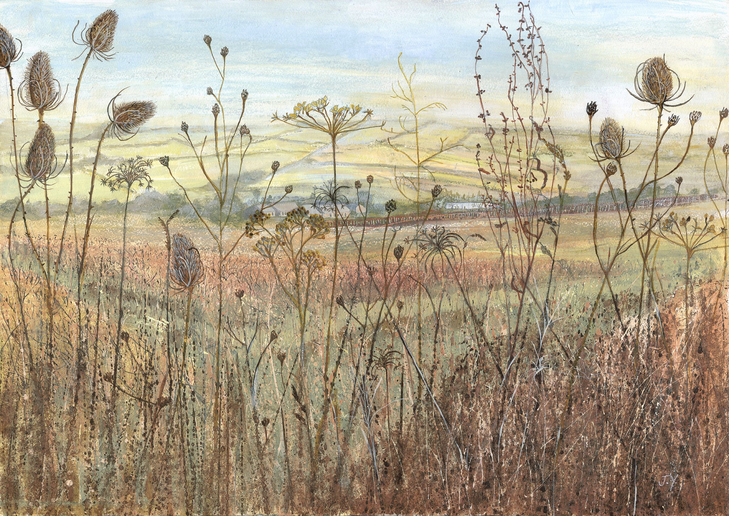 Looking through Seedheads Across the Evenlode Valley by Judith Yarrow