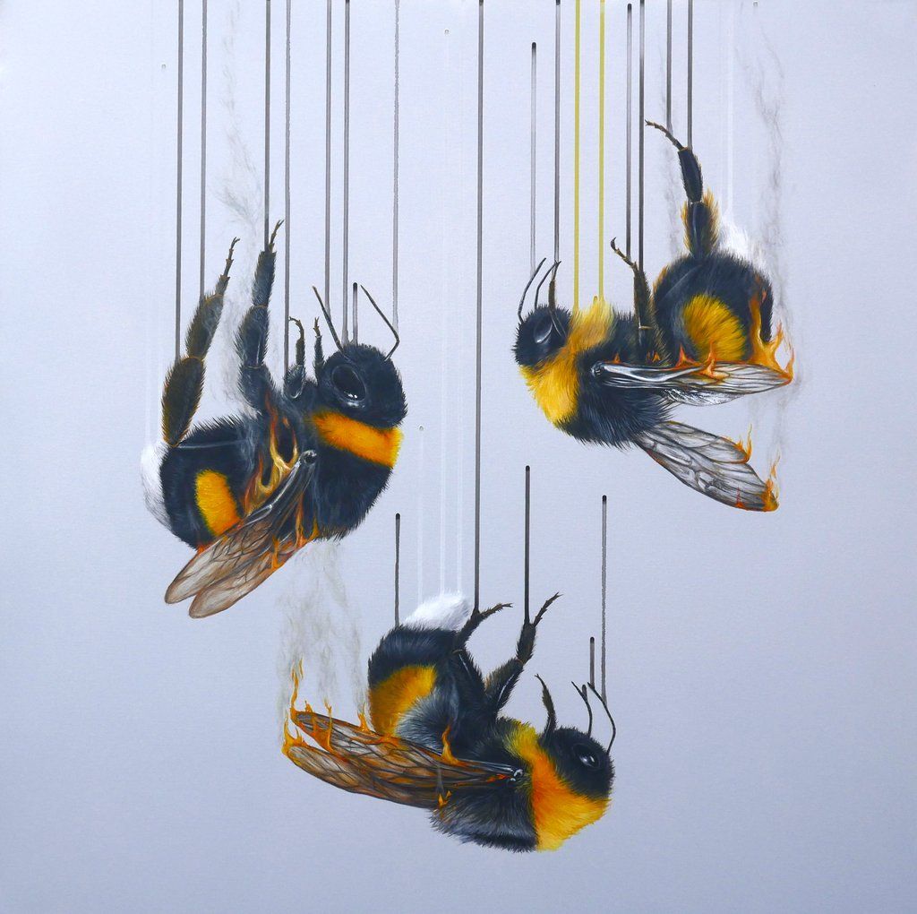Ashes, Ashes, We All Fall Down by Louise Mcnaught