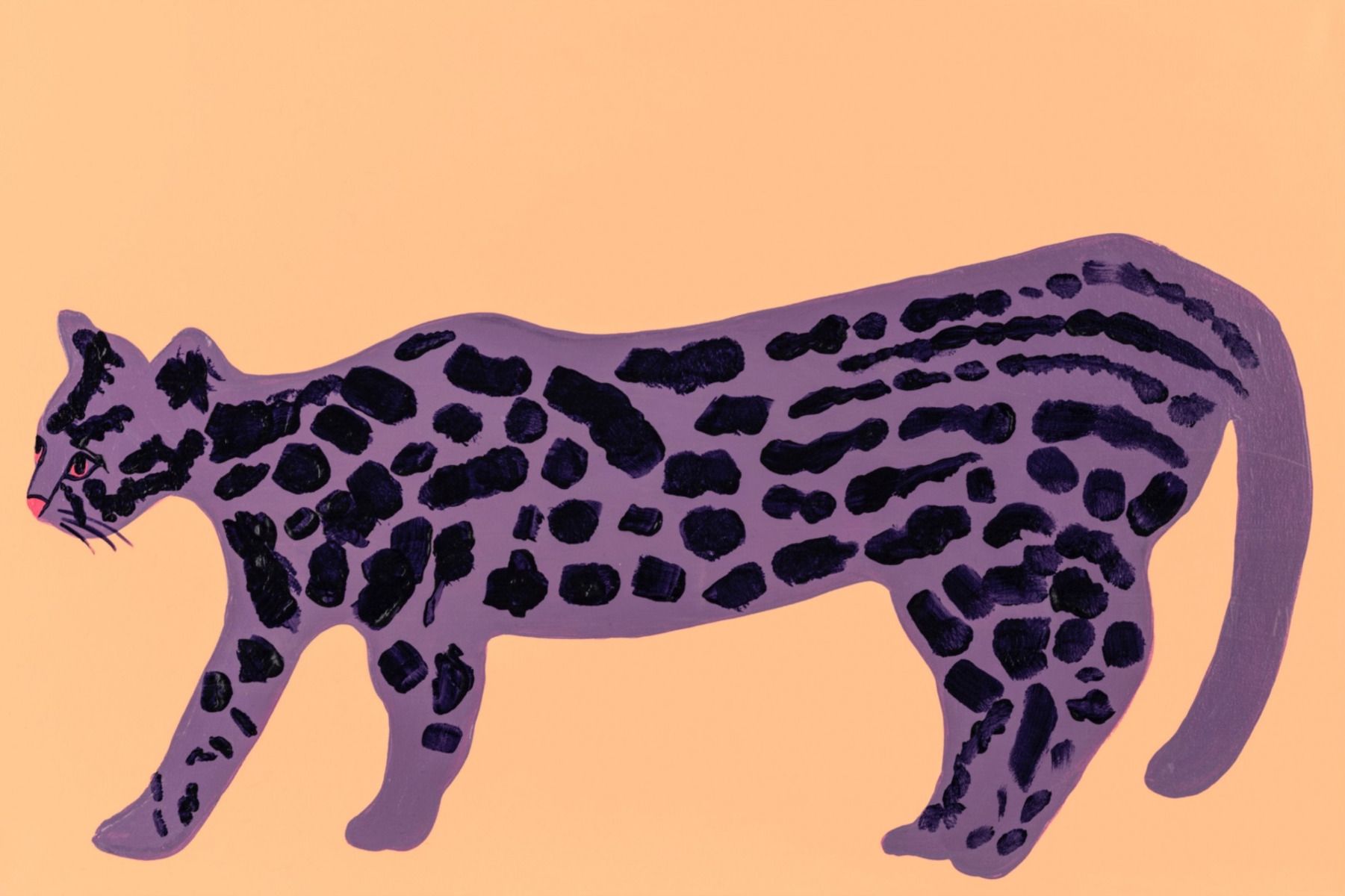 Long Wild Cat by Lucie Sheridan