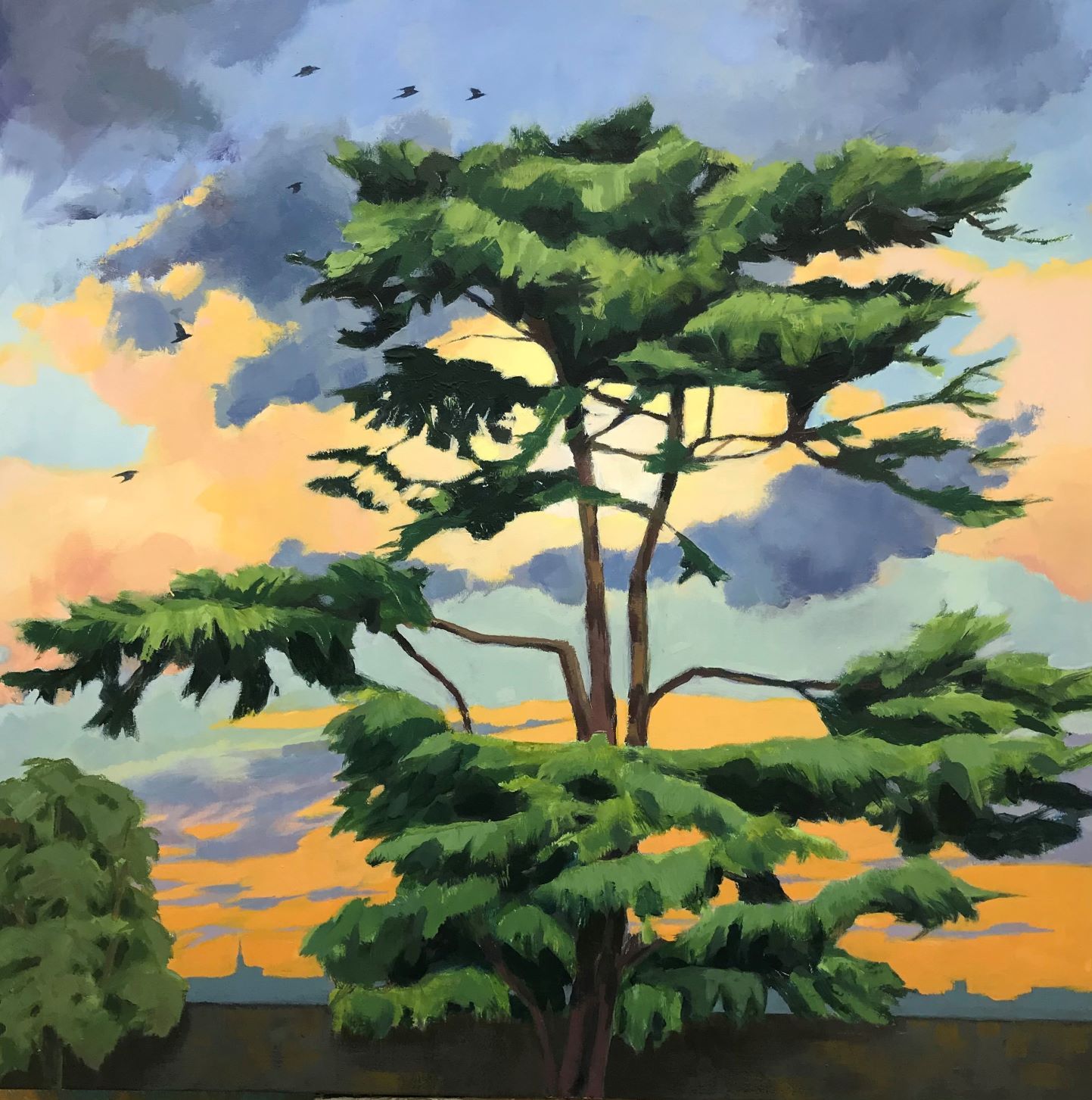 Cedar of Lebanon at Sunset by Margaret Crutchley